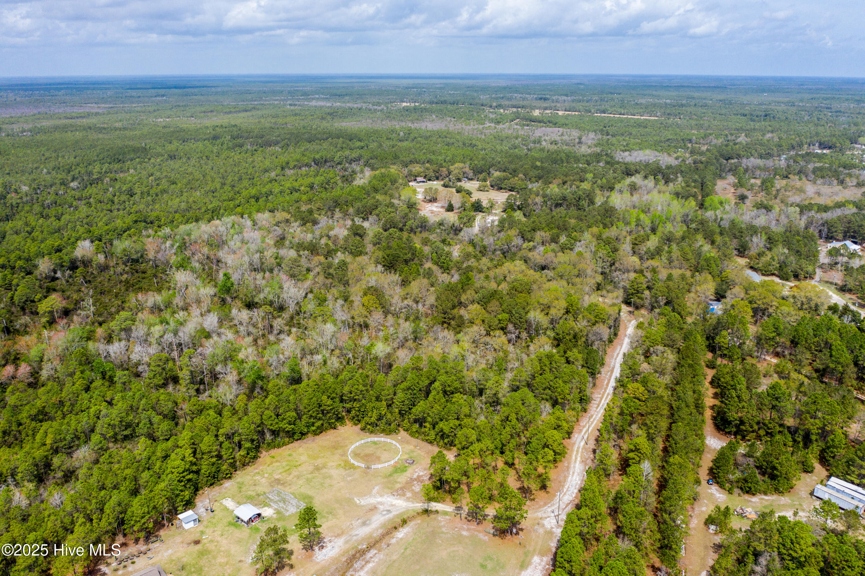 100500100 | Photo 11