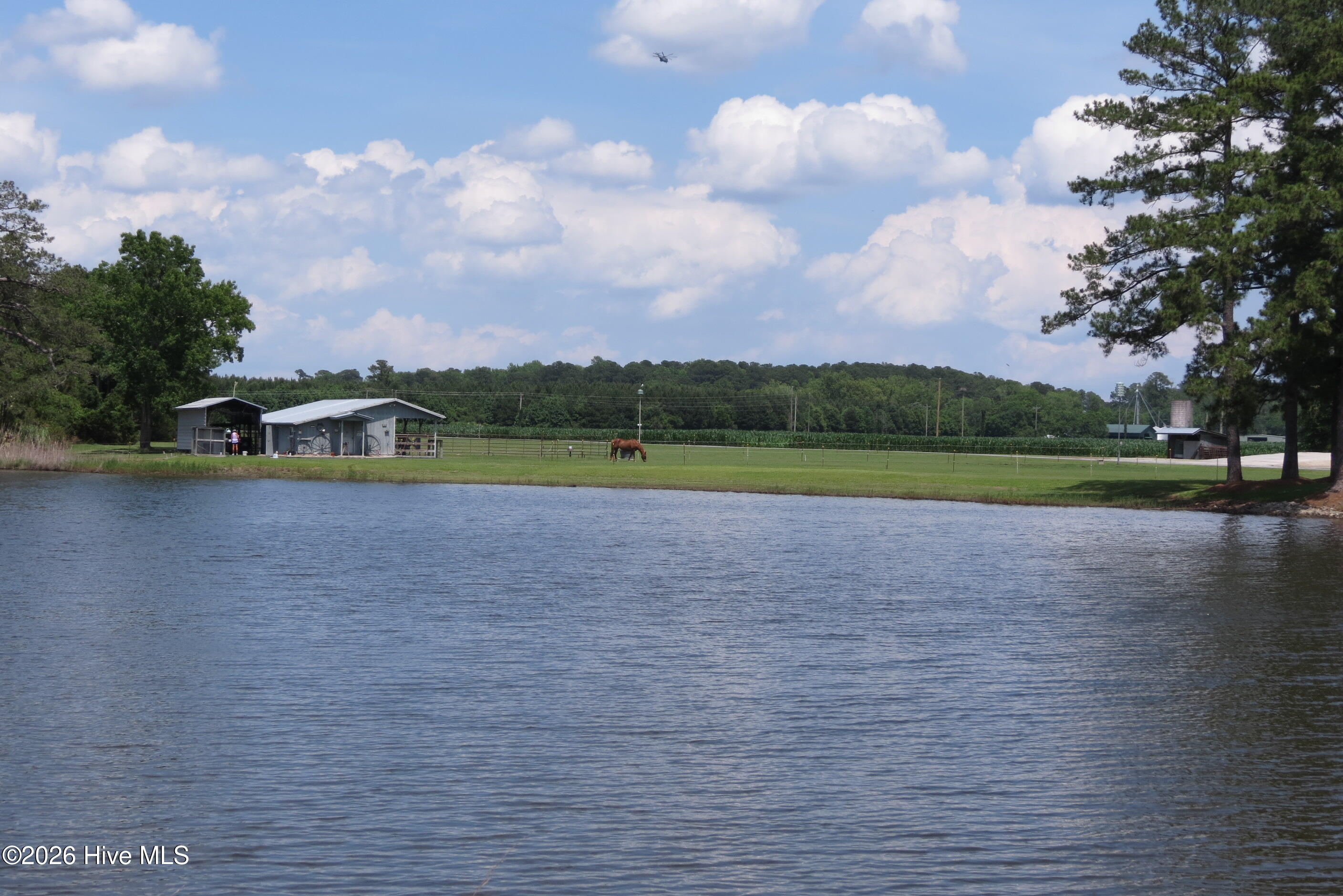 368 Winding Creek Drive,Oriental