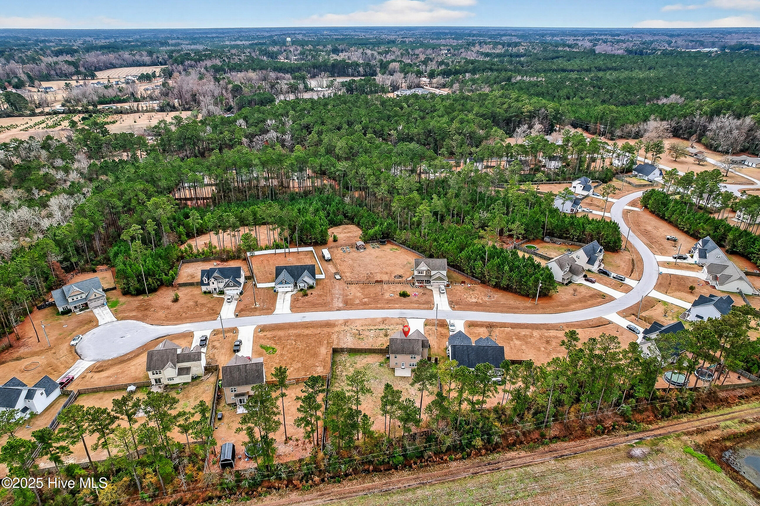 100546178 | Photo 34