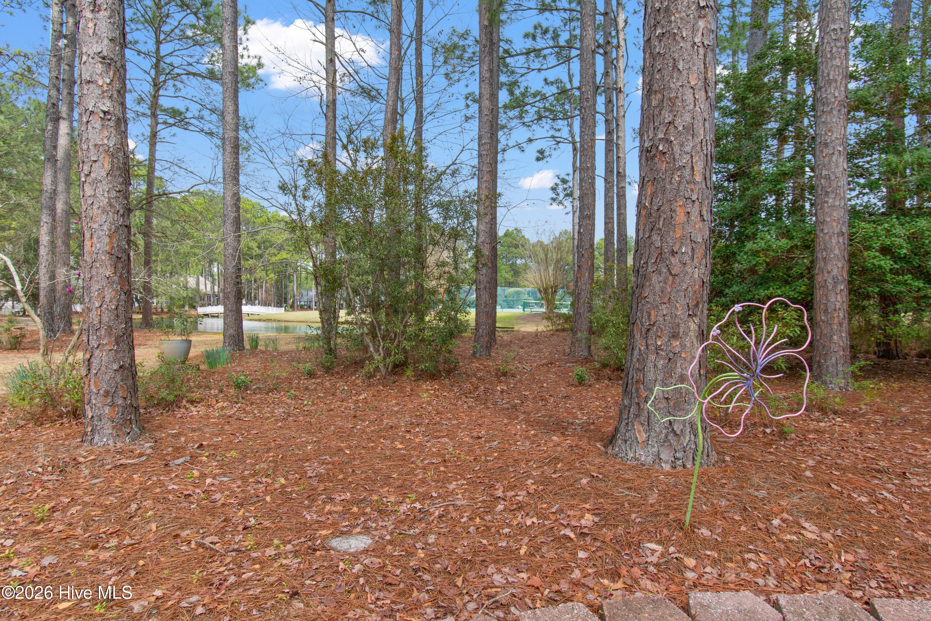 100559952 | Photo 39