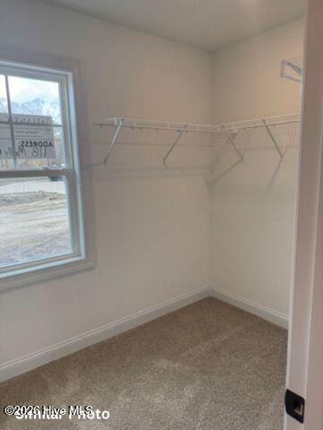 100539556 | Photo 12