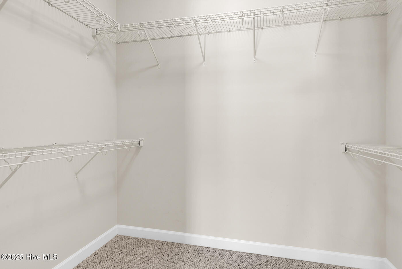 100537491 | Photo 15