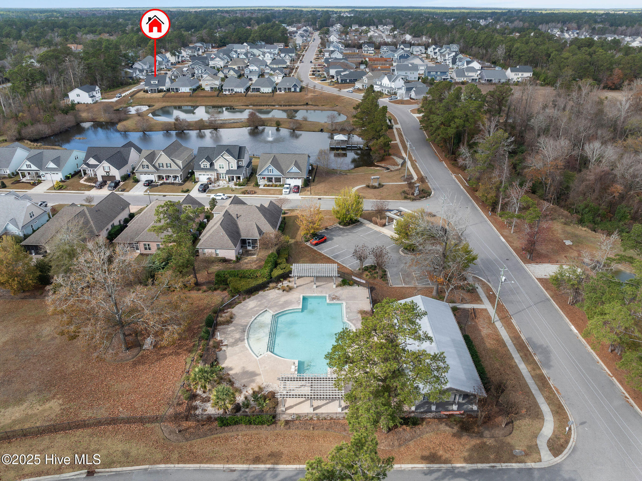 100564106 | Photo 61