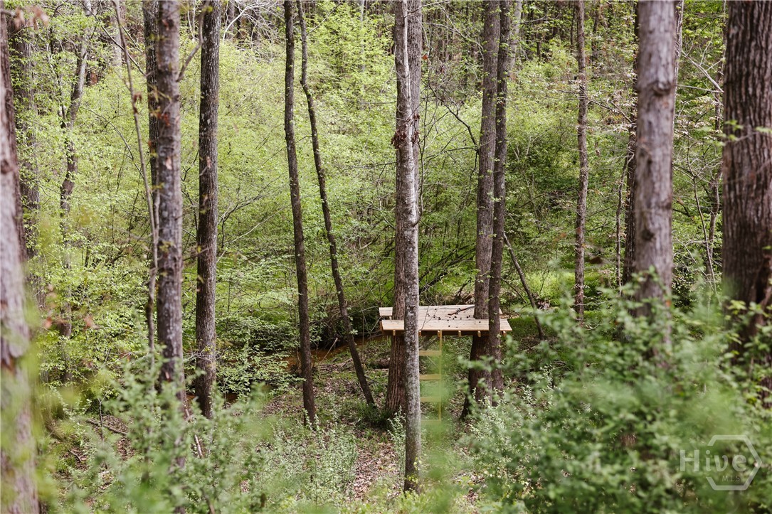 1051 Moss Creek Terrace