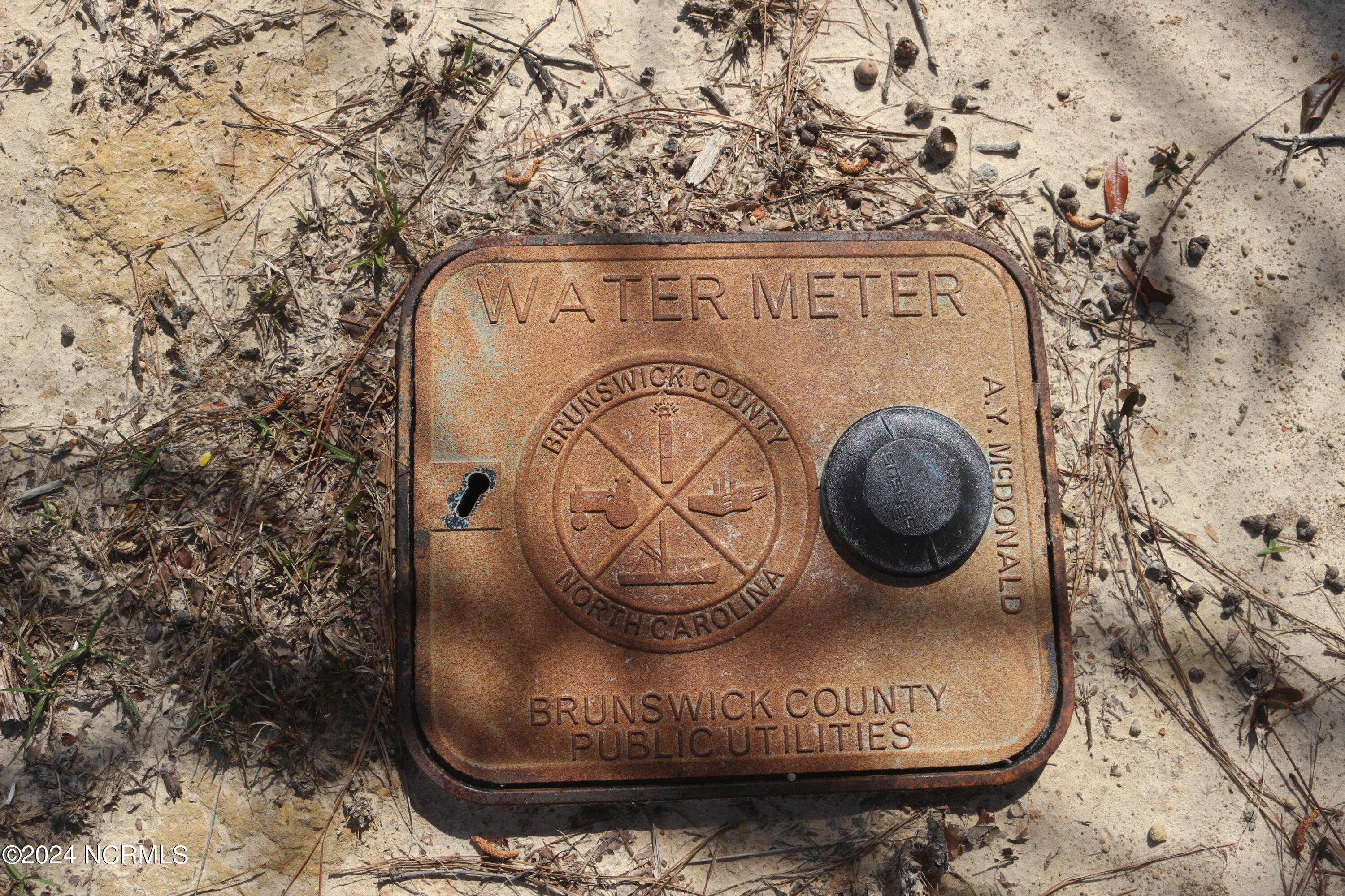 100533177 | Photo 24