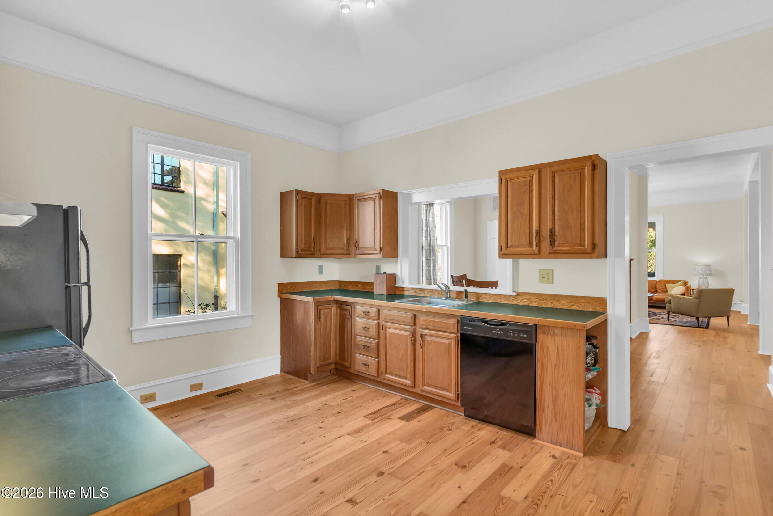 100528129 | Photo 18