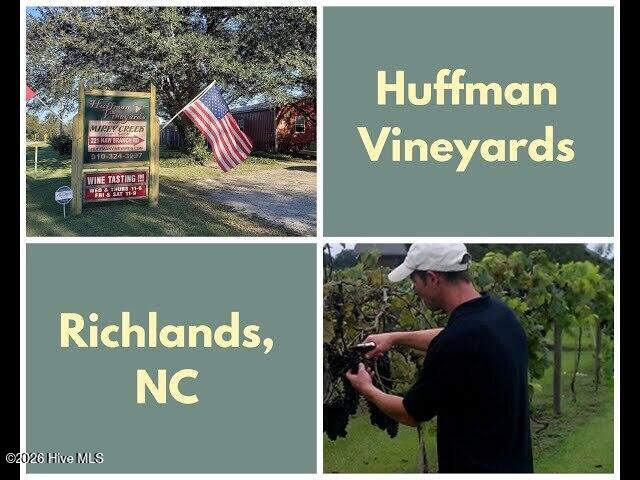 100552974 | Photo 38