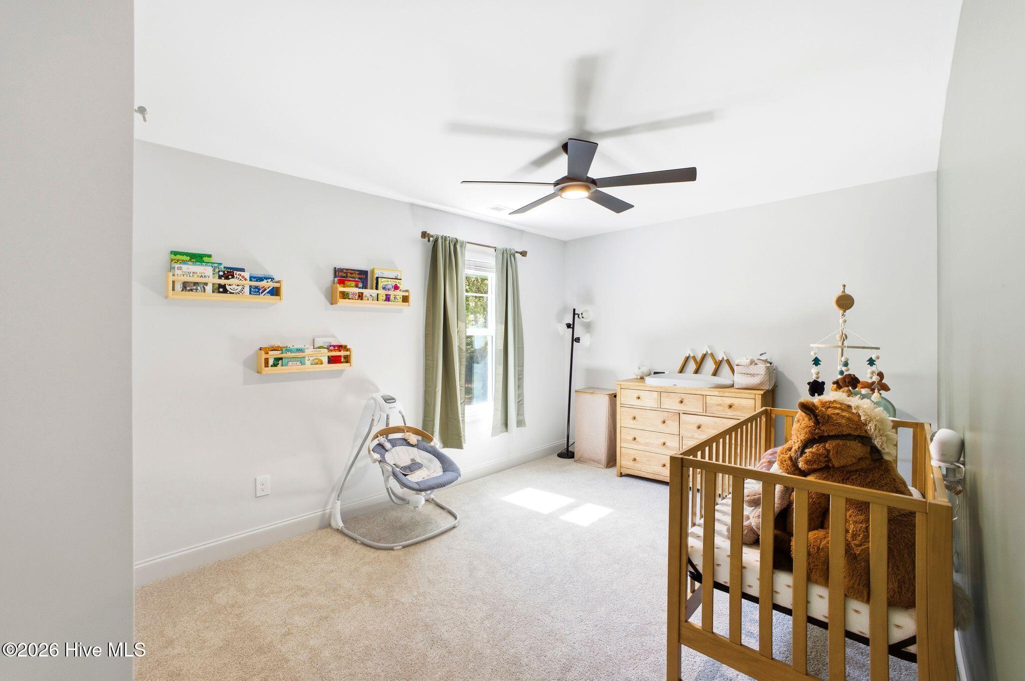 100568135 | Photo 53