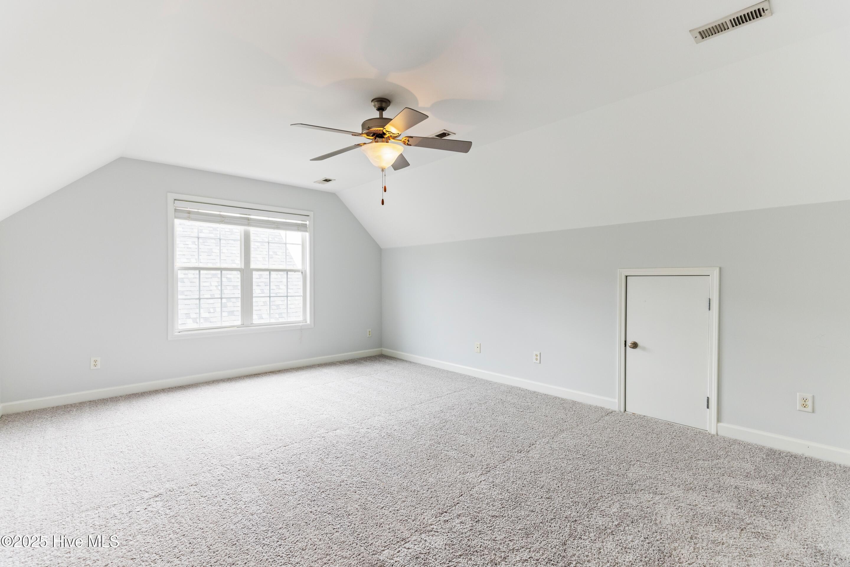 100527201 | Photo 19