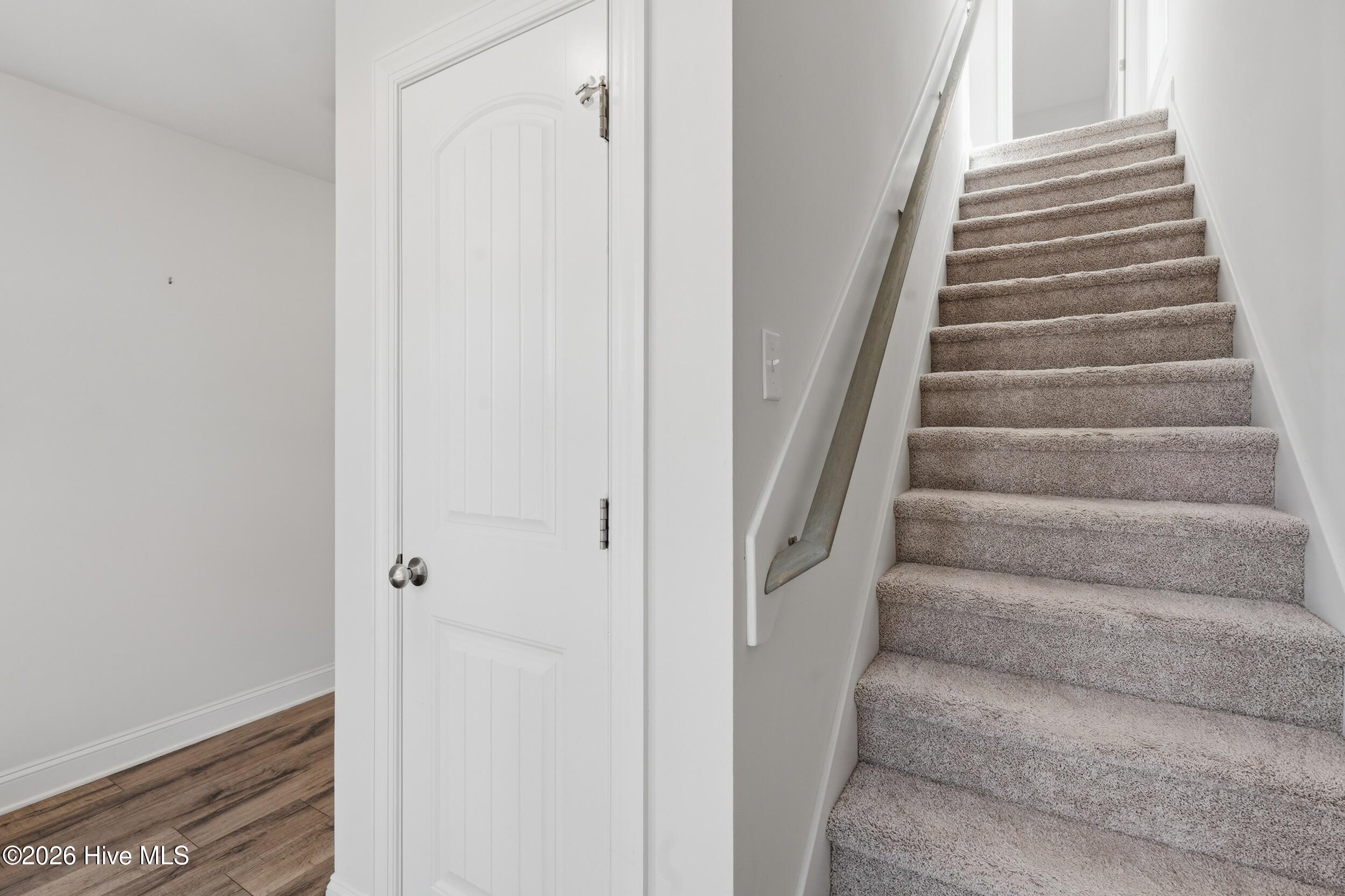 100559479 | Photo 18