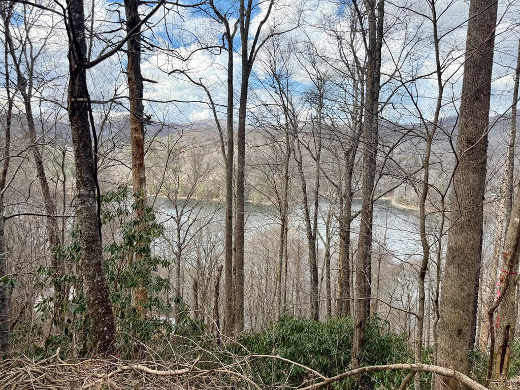 Homes for sale in Nantahala, NC | Lot# 38 Nantahala Shores Rd, Nantahala, NC 28781 | MLS# 98500049