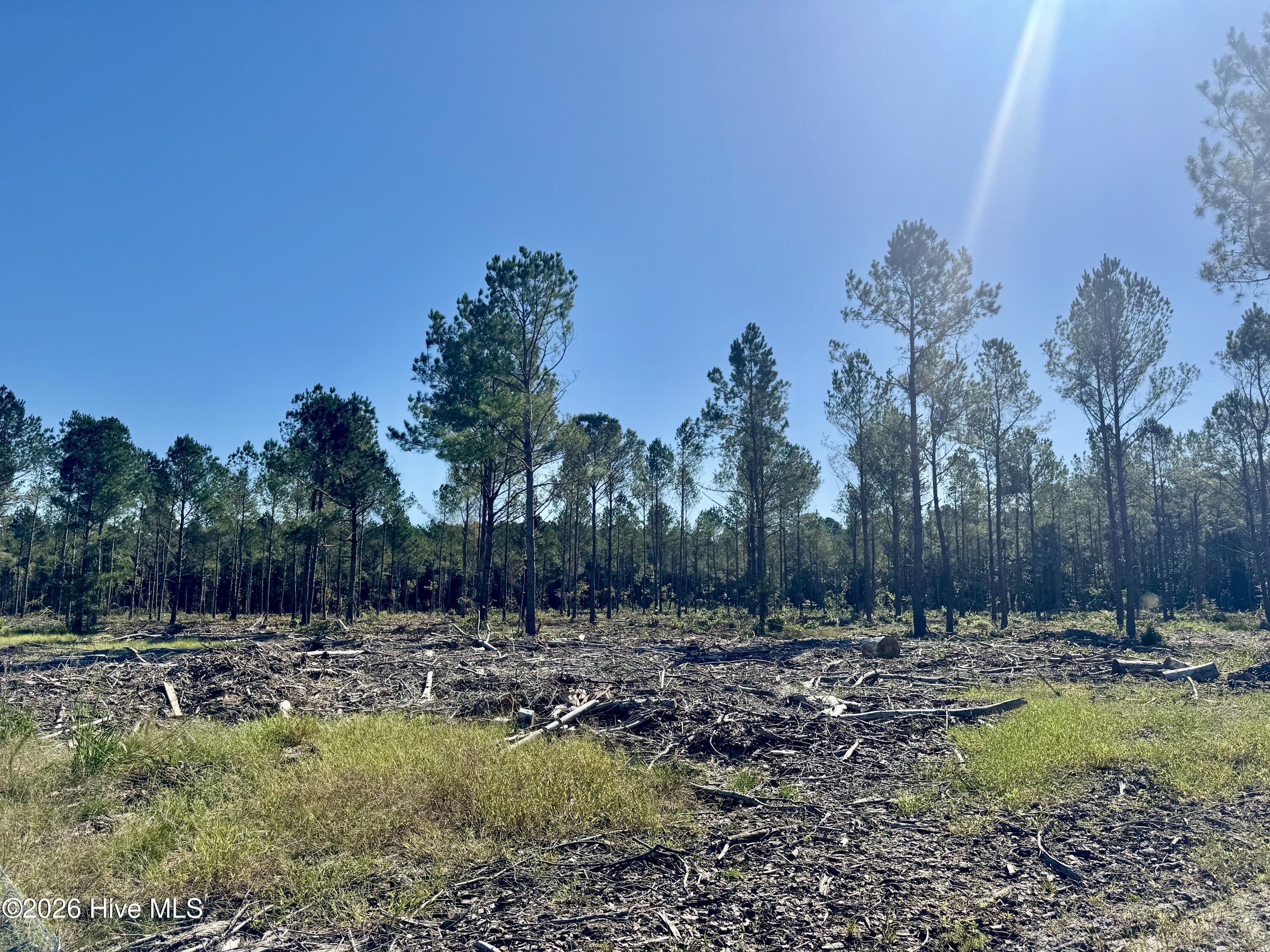 Homes for sale in Garland, NC | 0 Old Fayetteville Rd, Garland, NC 28441 | MLS# 100560570