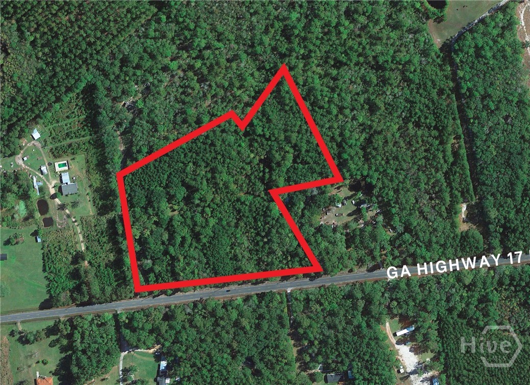 2330 GA 17, Guyton, Georgia, 0 ,Land,For sale,GA 17,SA344426