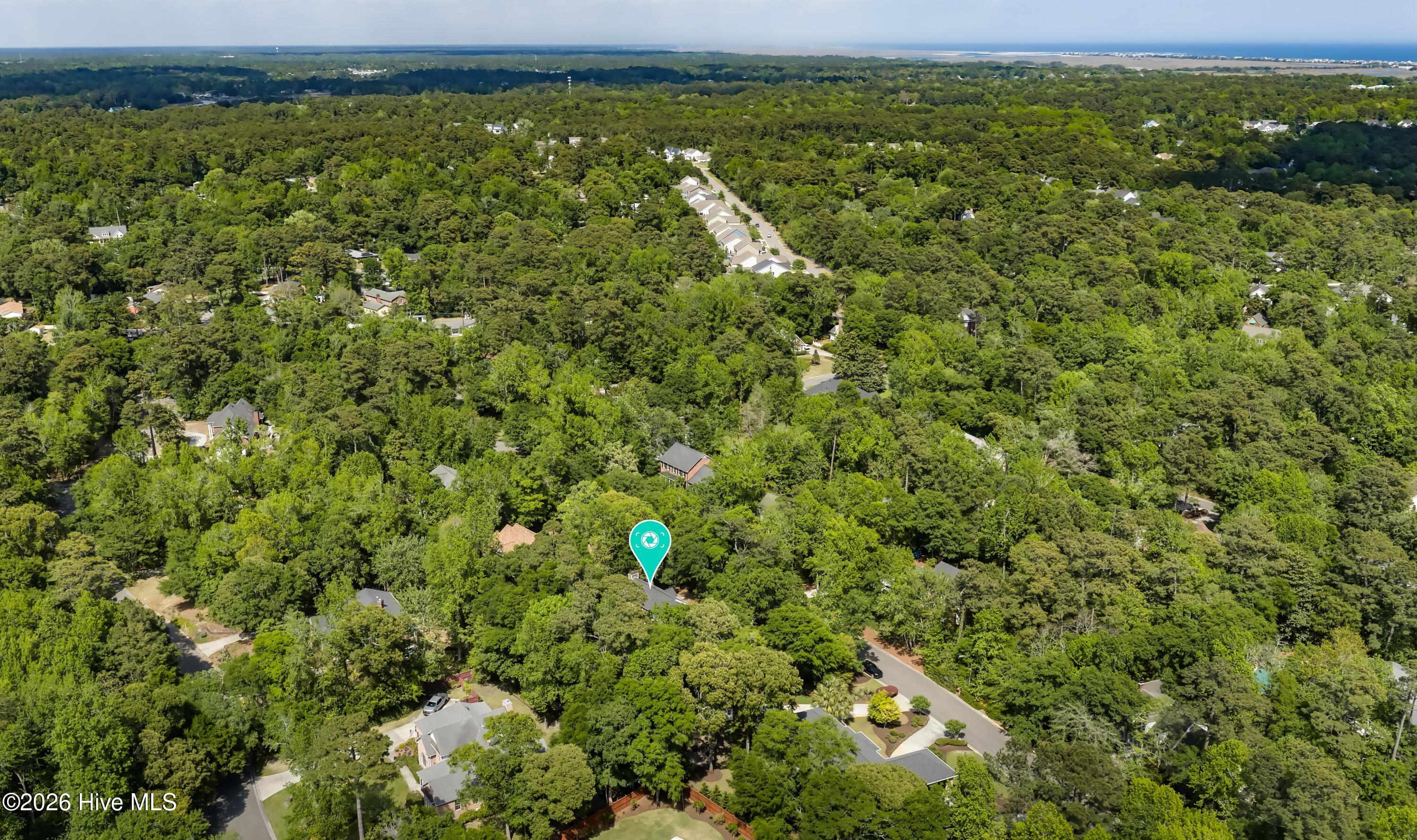 100569392 | Photo 56