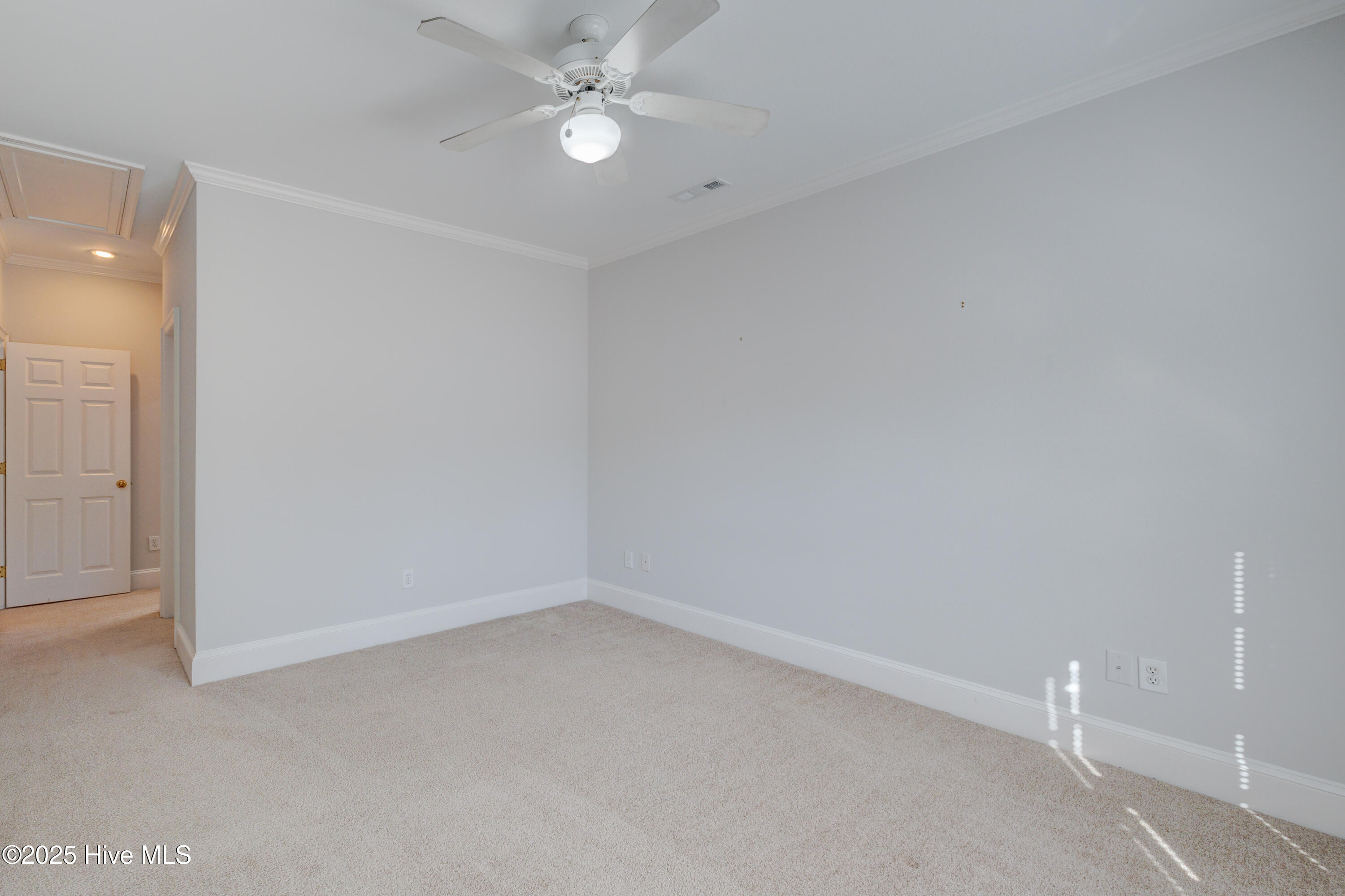 100534923 | Photo 25