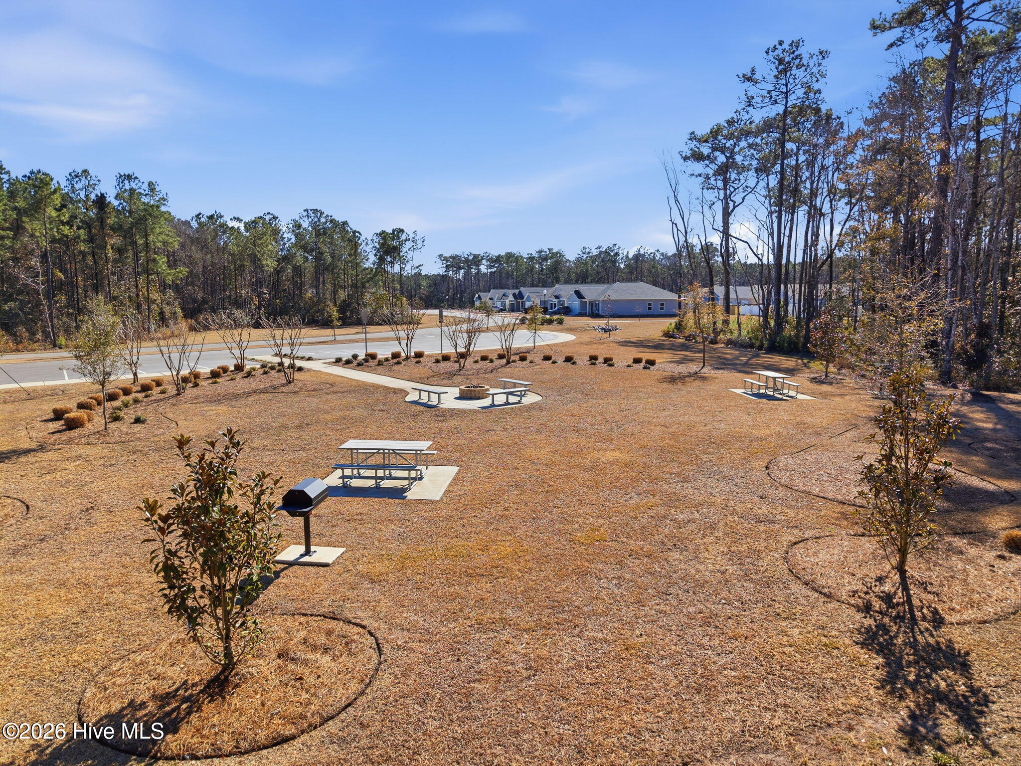 100554618 | Photo 50