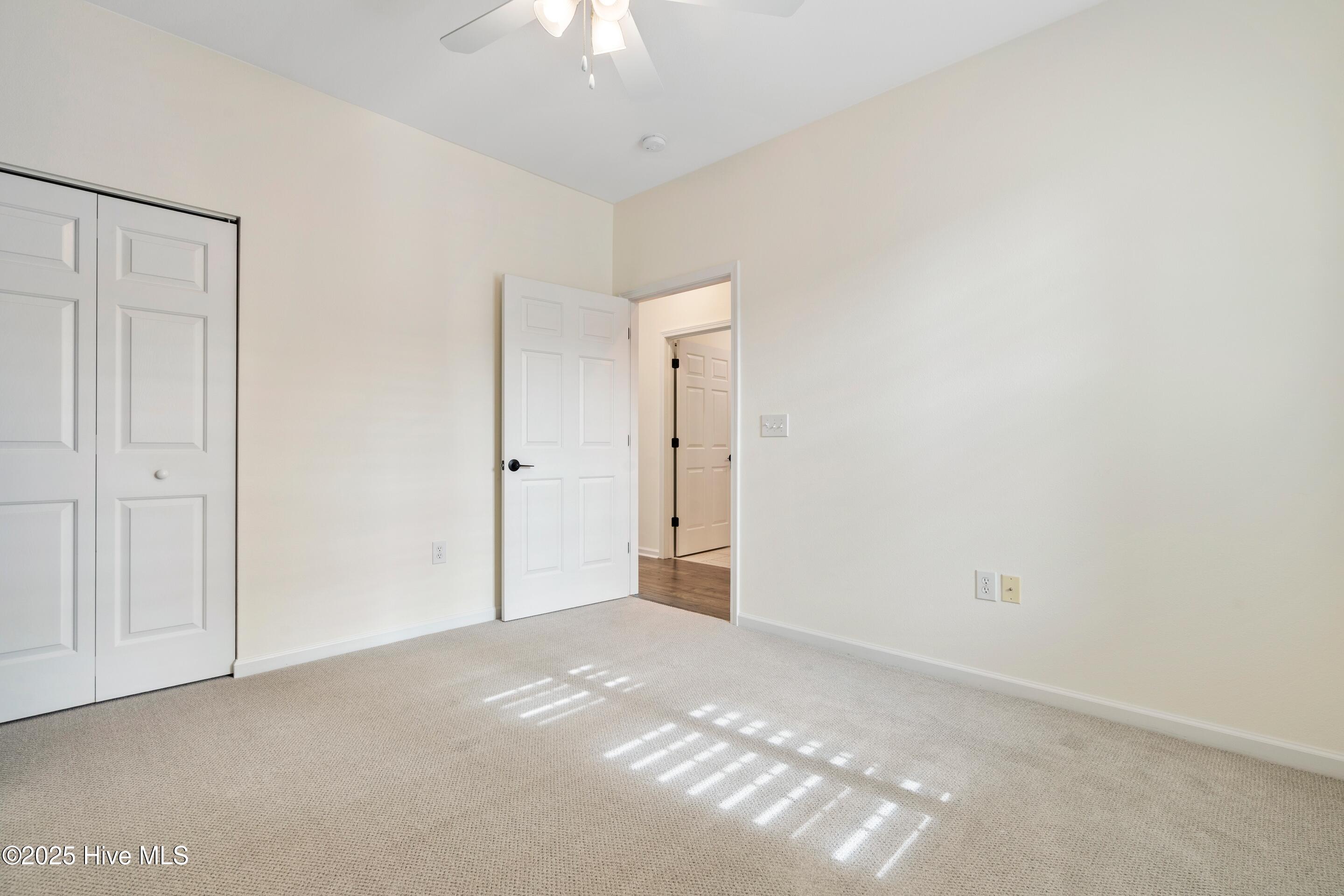 100542567 | Photo 16