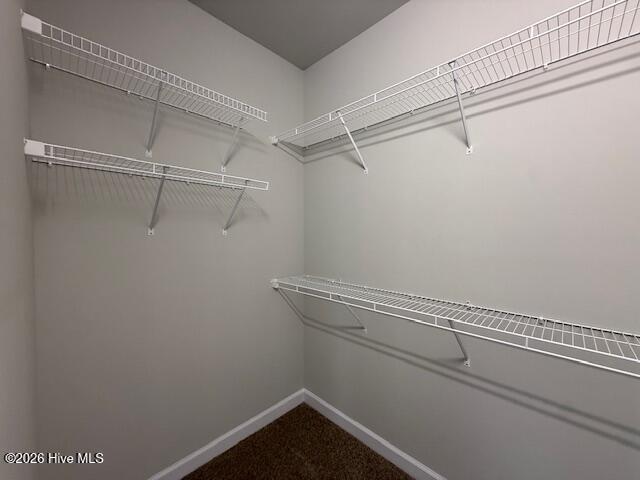 100539065 | Photo 60