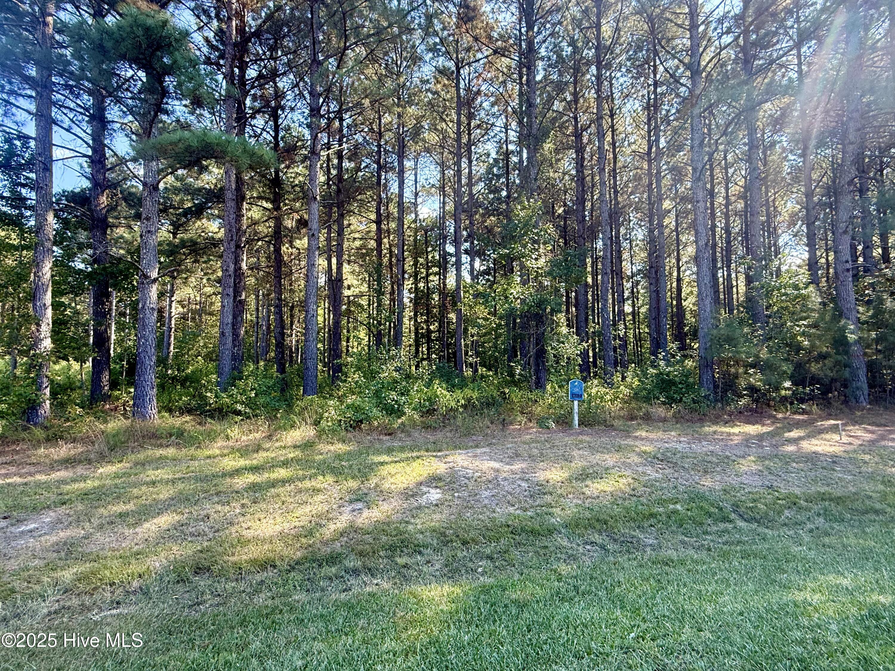 38 Fox Lane, Wagram, NC, 28396