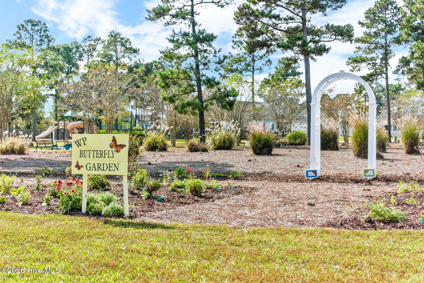 100557697 | Photo 25