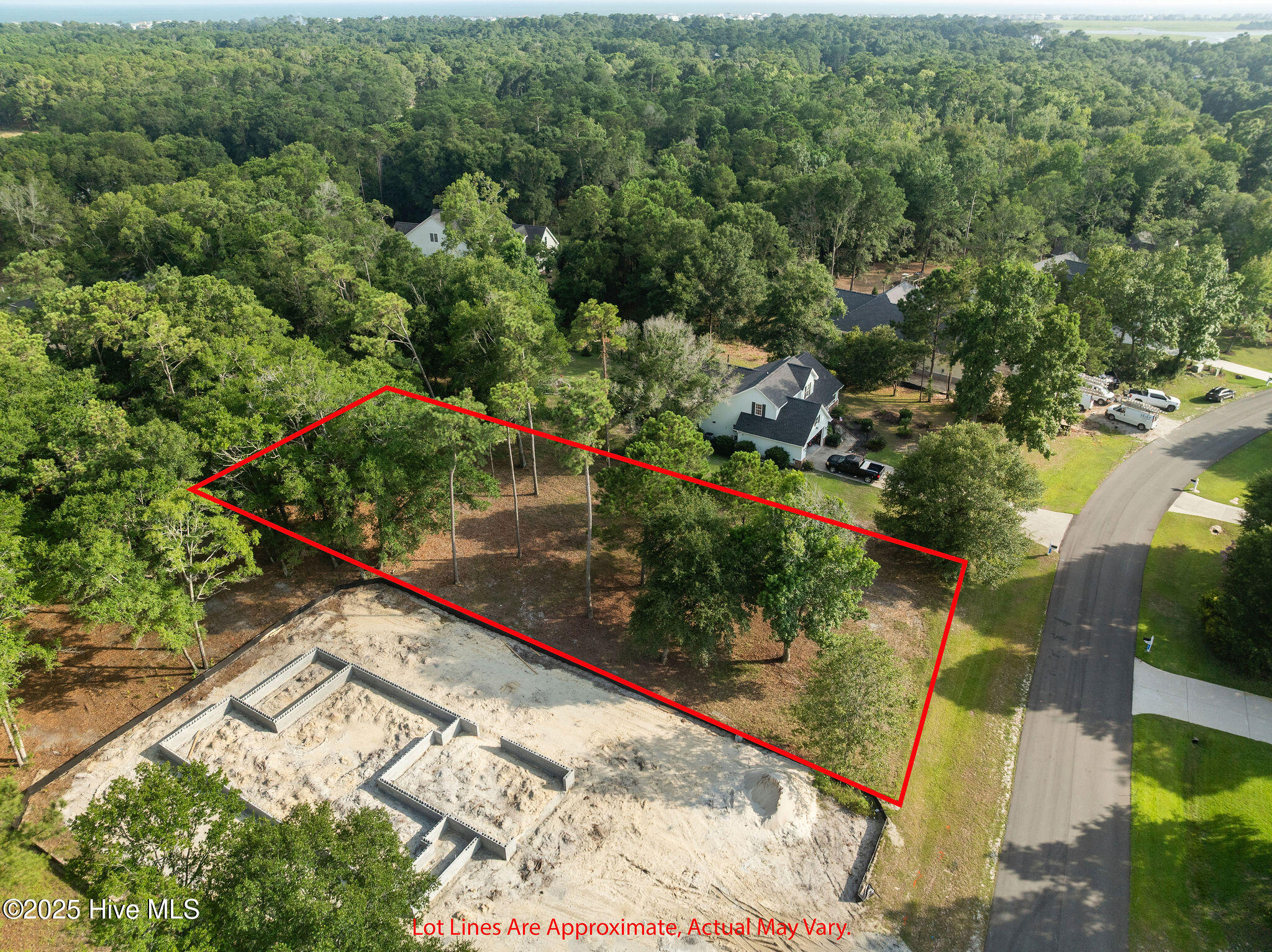 100518785 | Photo 19