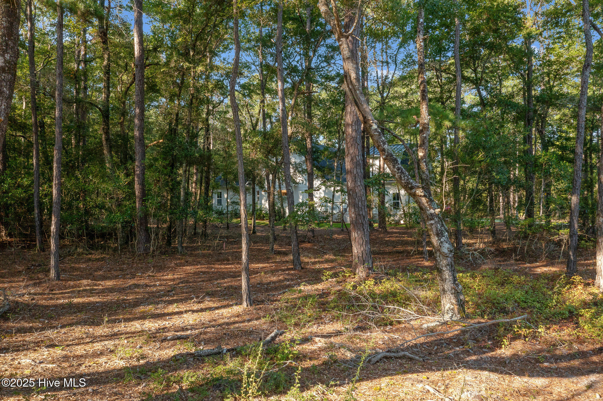 100526036 | Photo 12