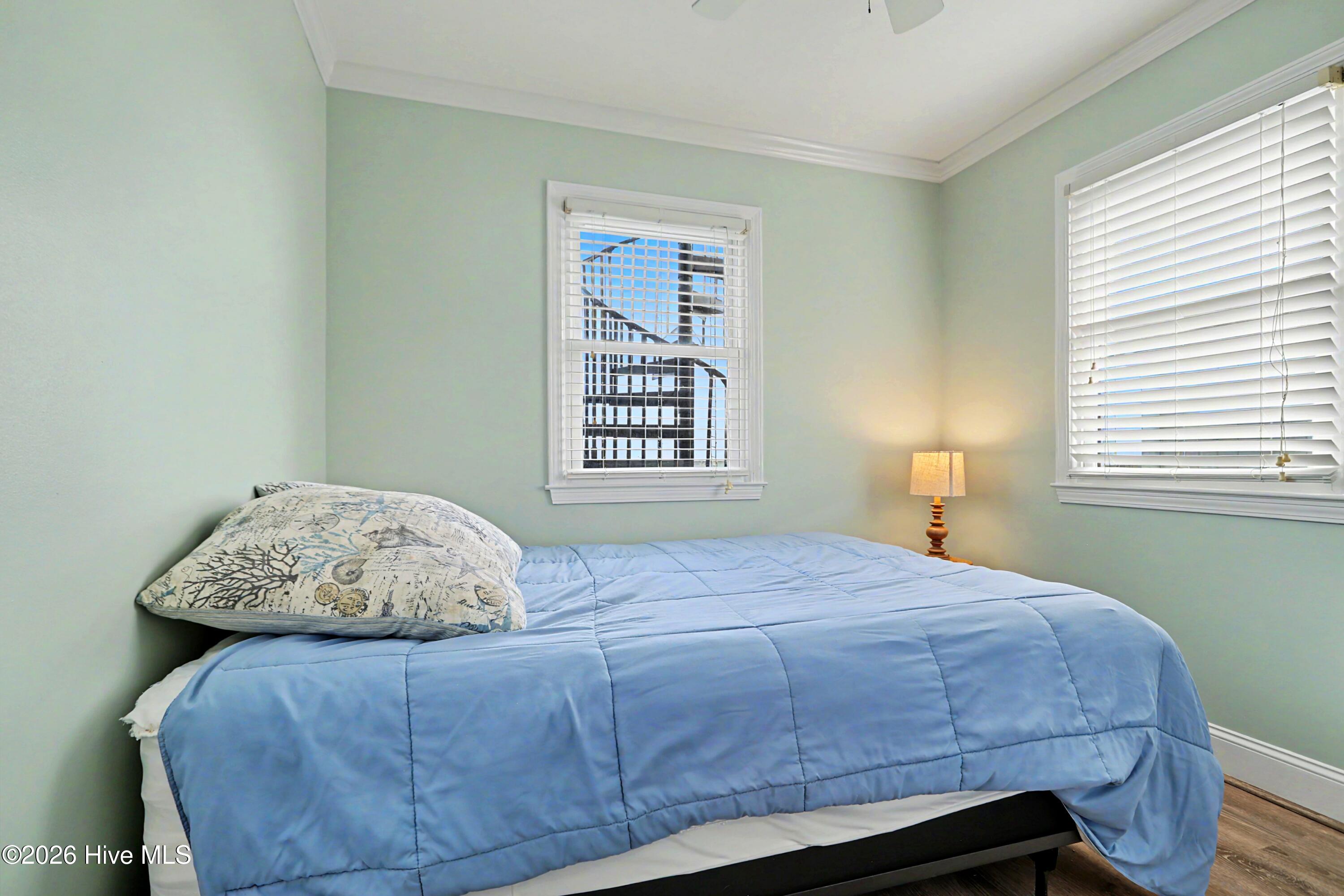 100563218 | Photo 23