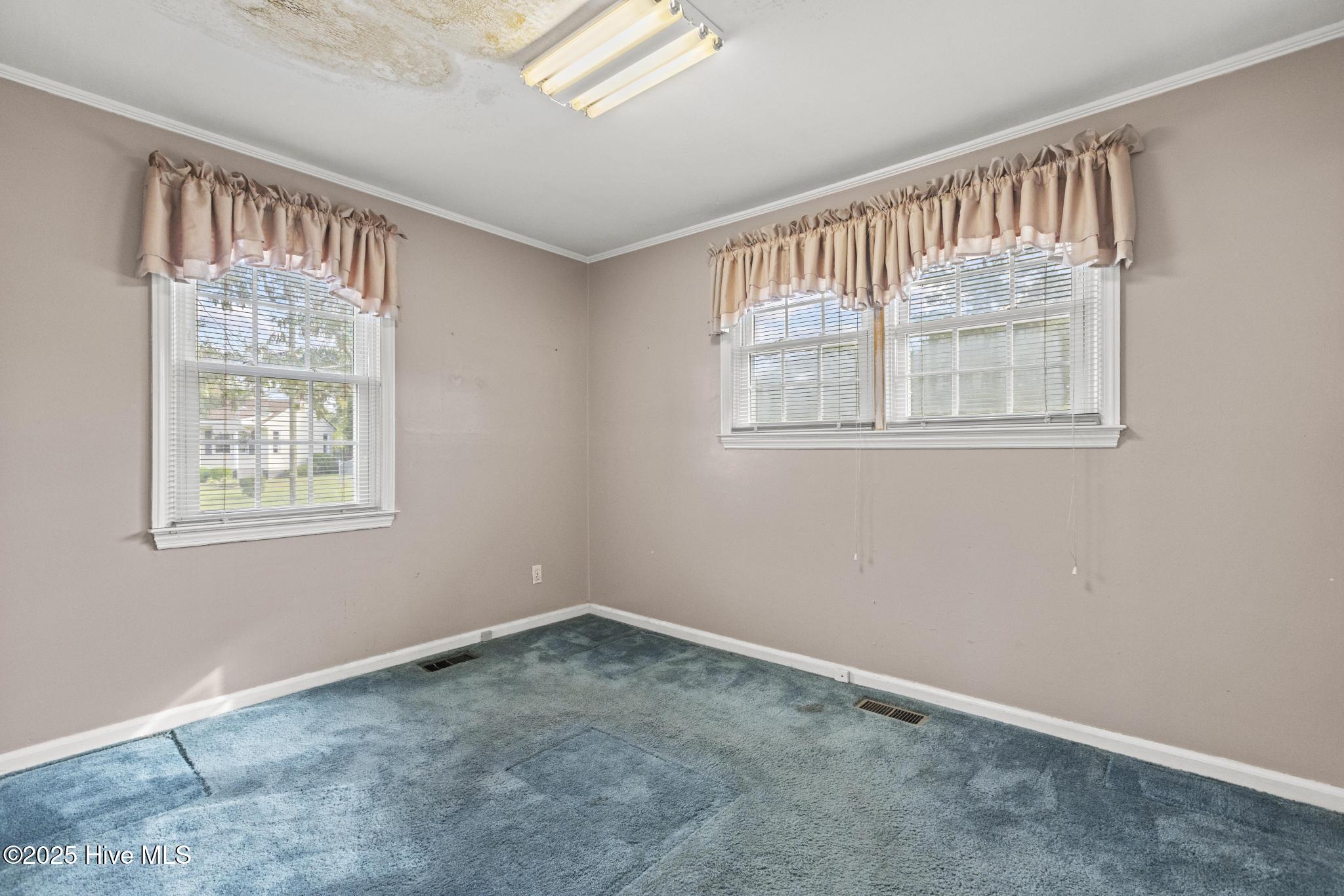 100532196 | Photo 10