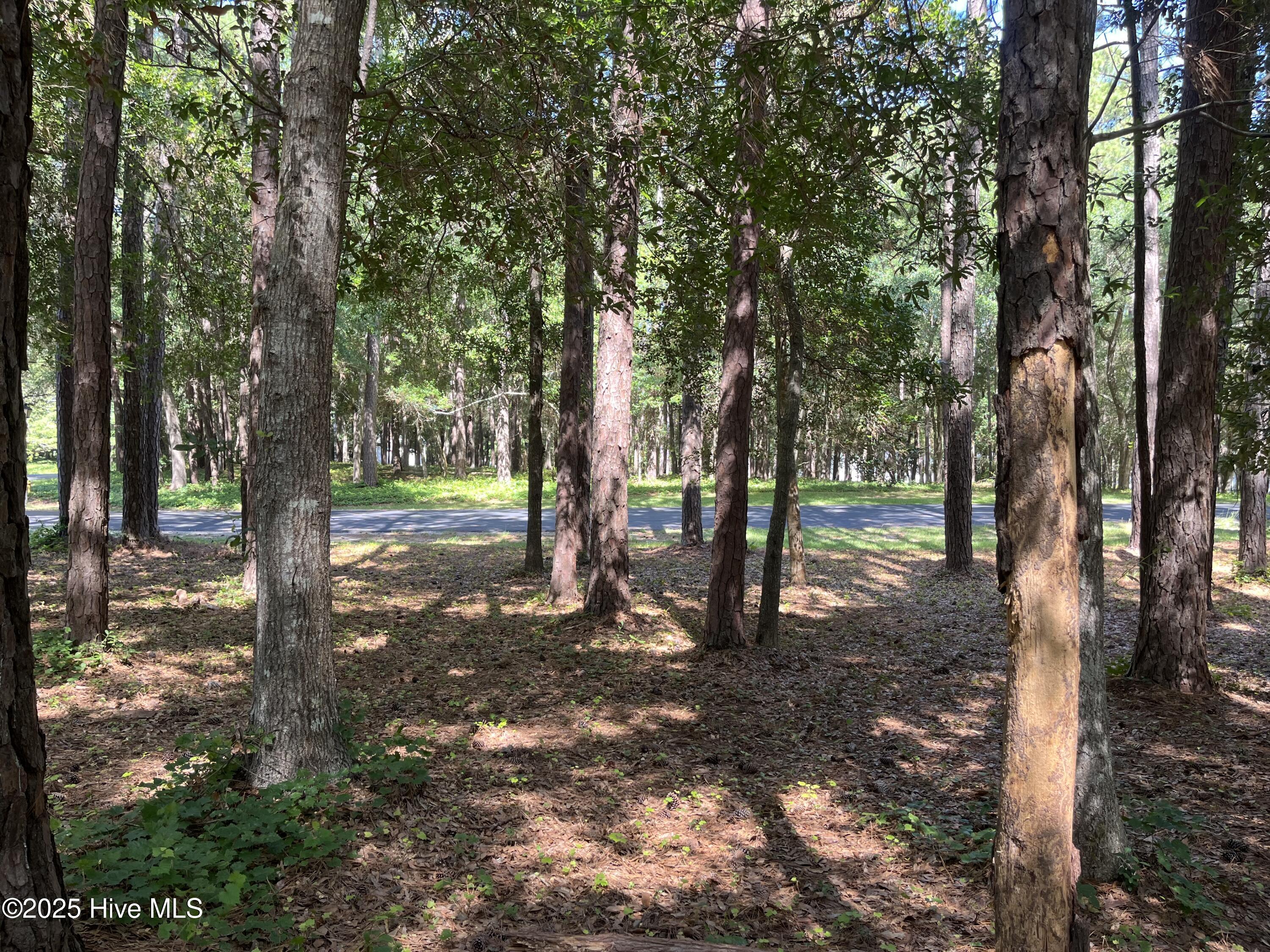 100516761 | Photo 11