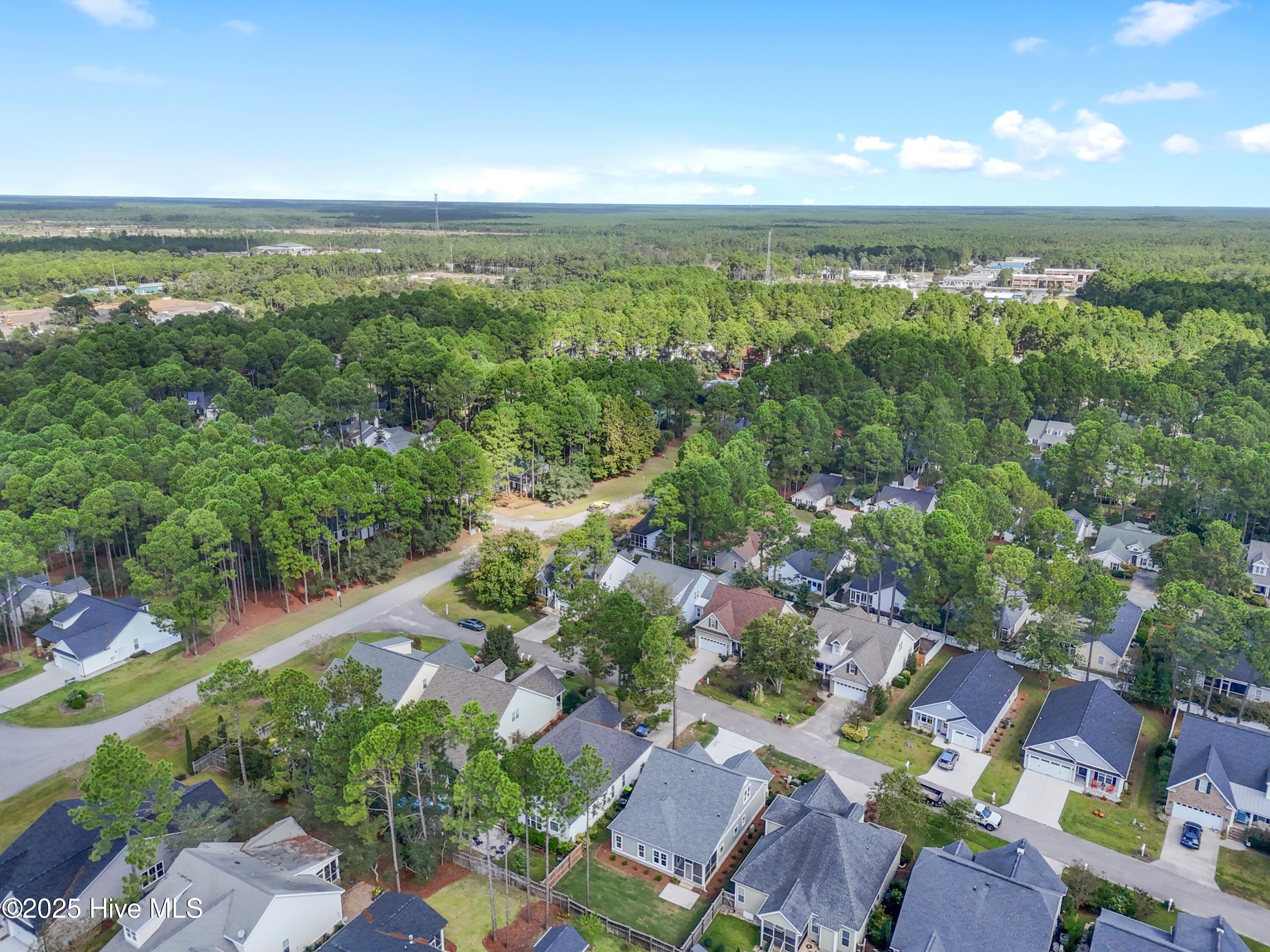 100511679 | Photo 31