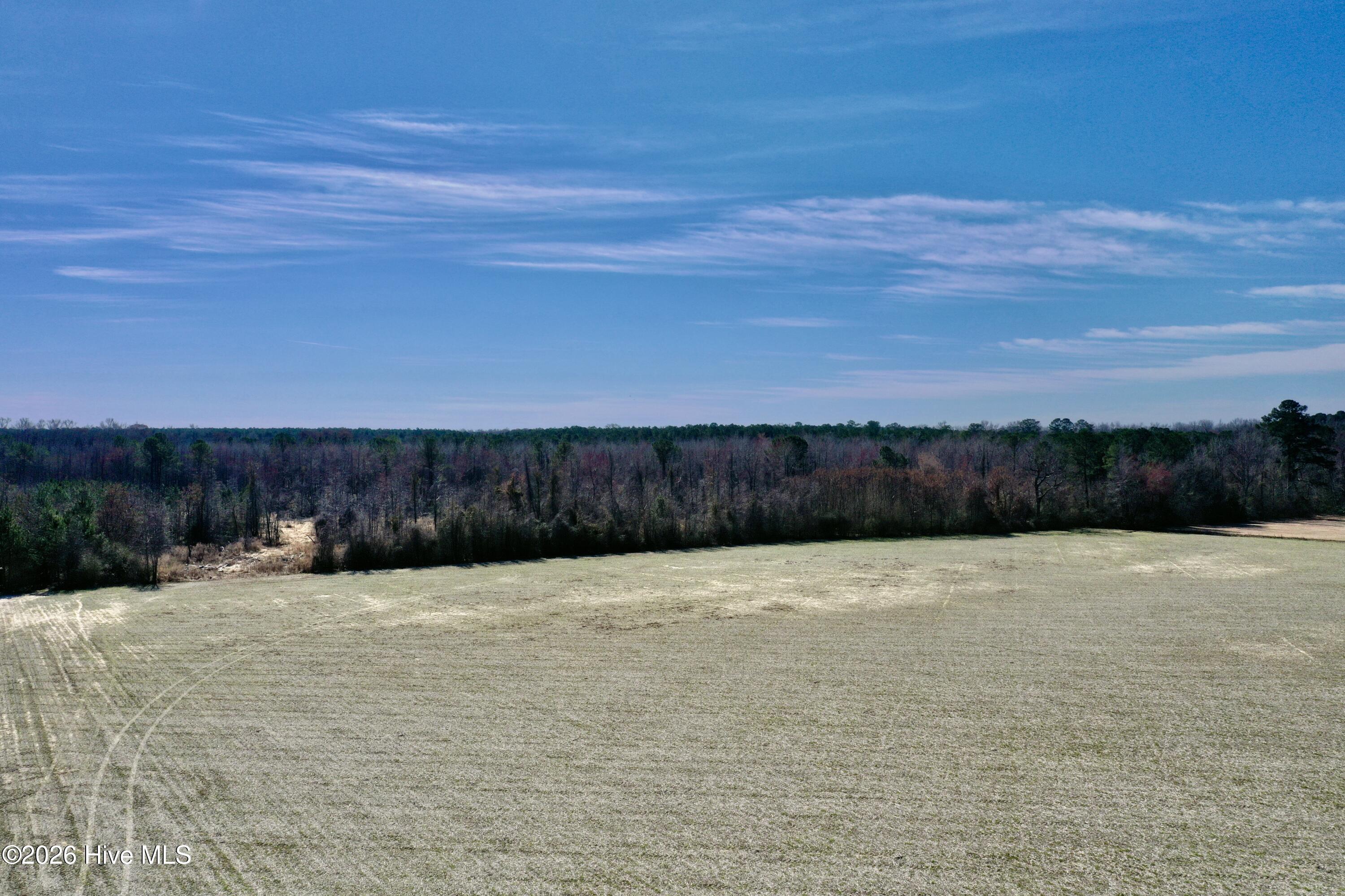 Homes for sale in Cerro Gordo, NC | 0 Near 2034 Haynes Len Hwy, Cerro Gordo, NC 28430 | MLS# 100556975