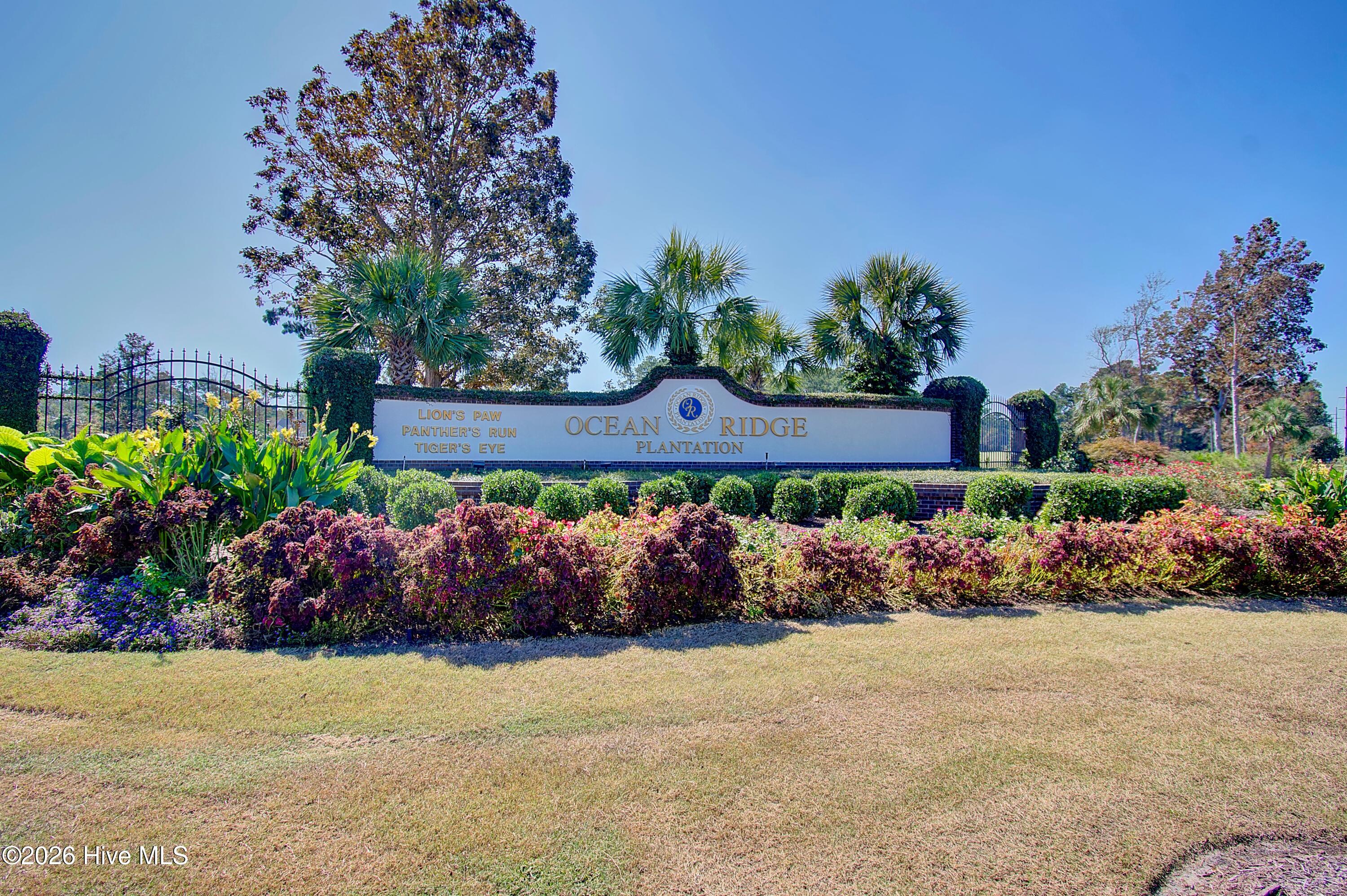 100570041 | Photo 19