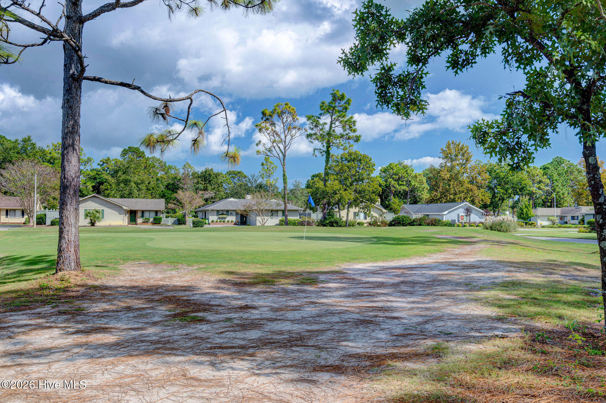 100563726 | Photo 42