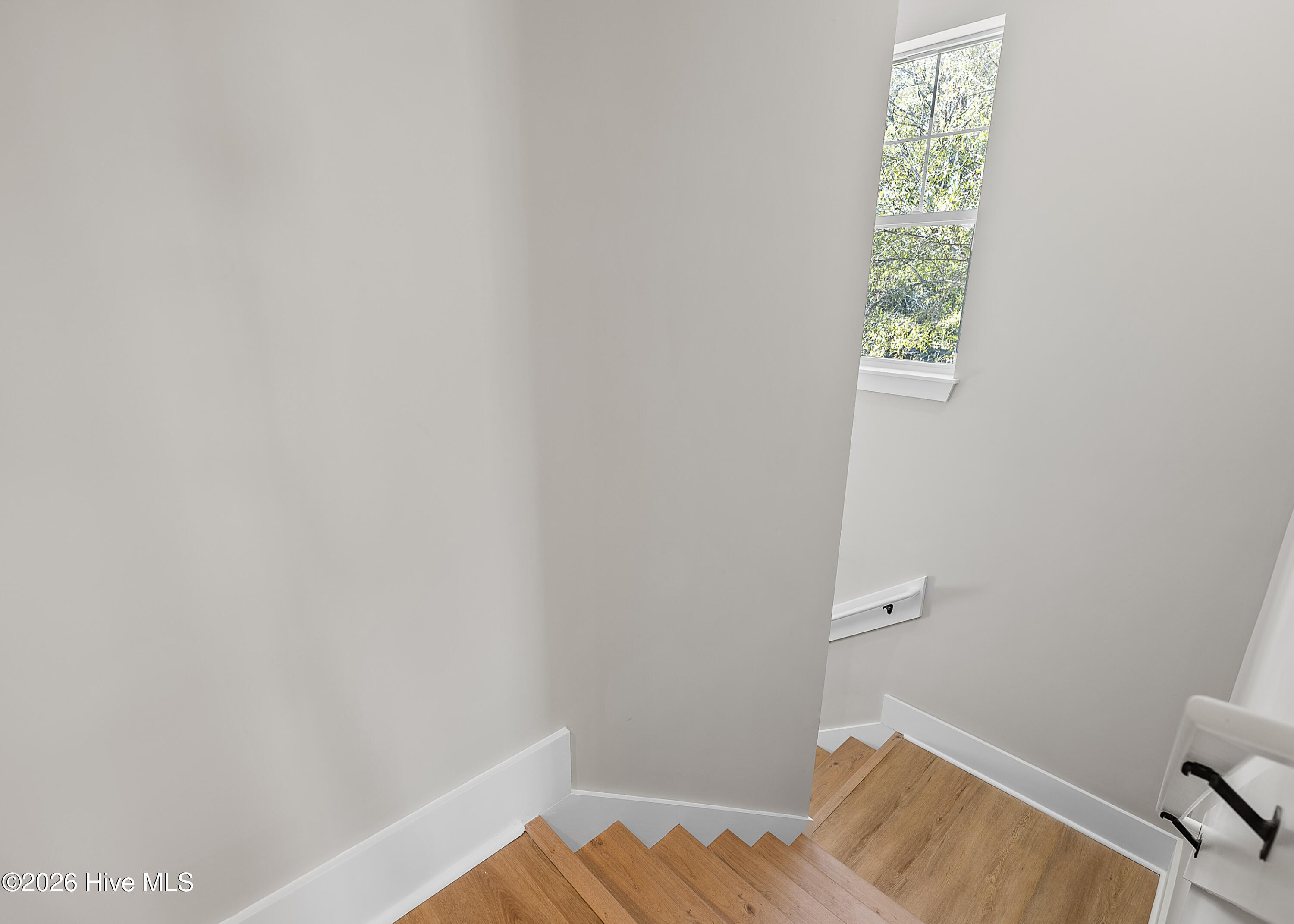 100566286 | Photo 19