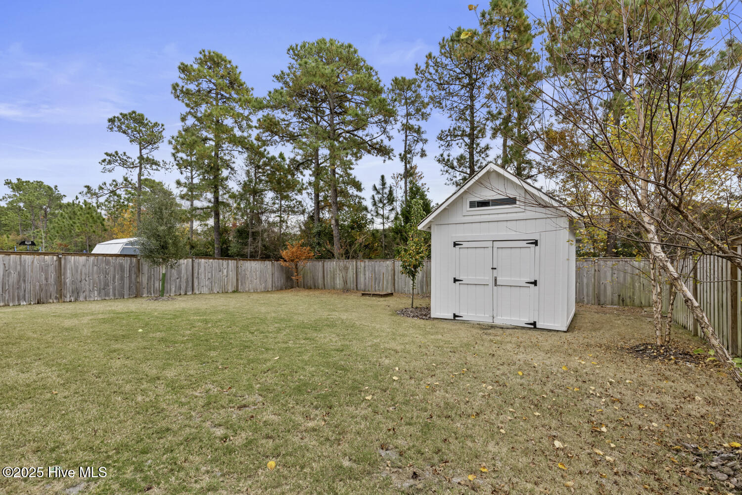 100543242 | Photo 38