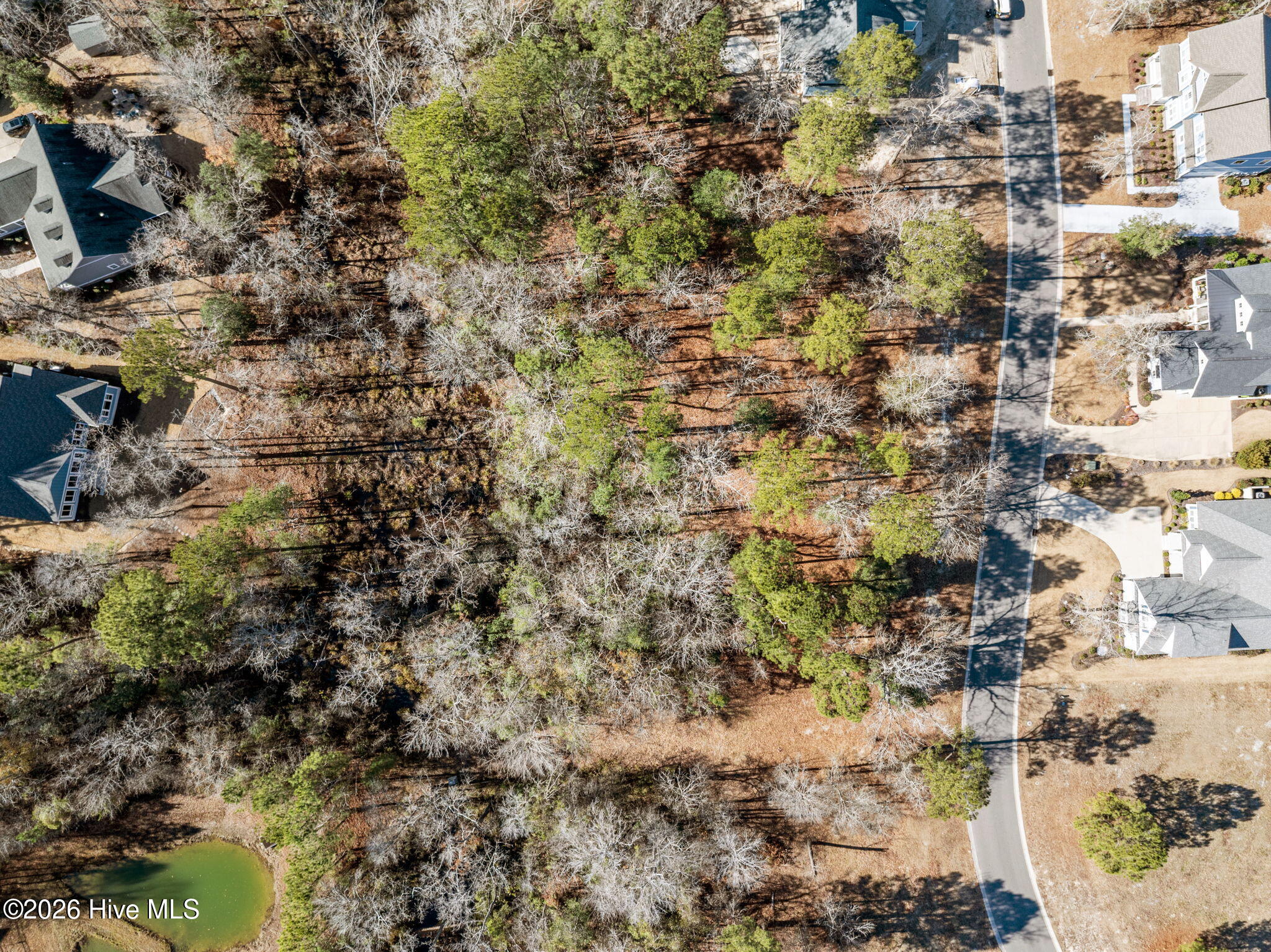 100547475 | Photo 12