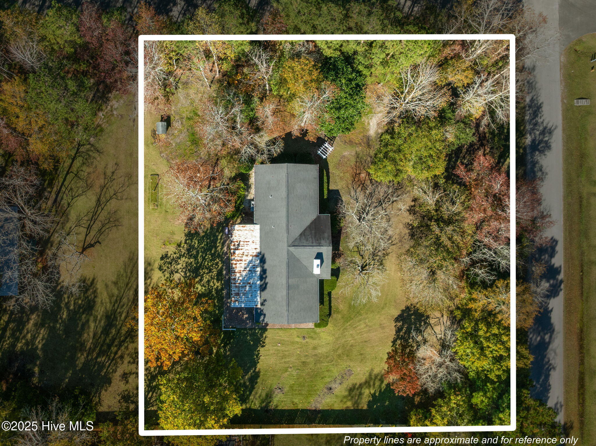 100541666 | Photo 75