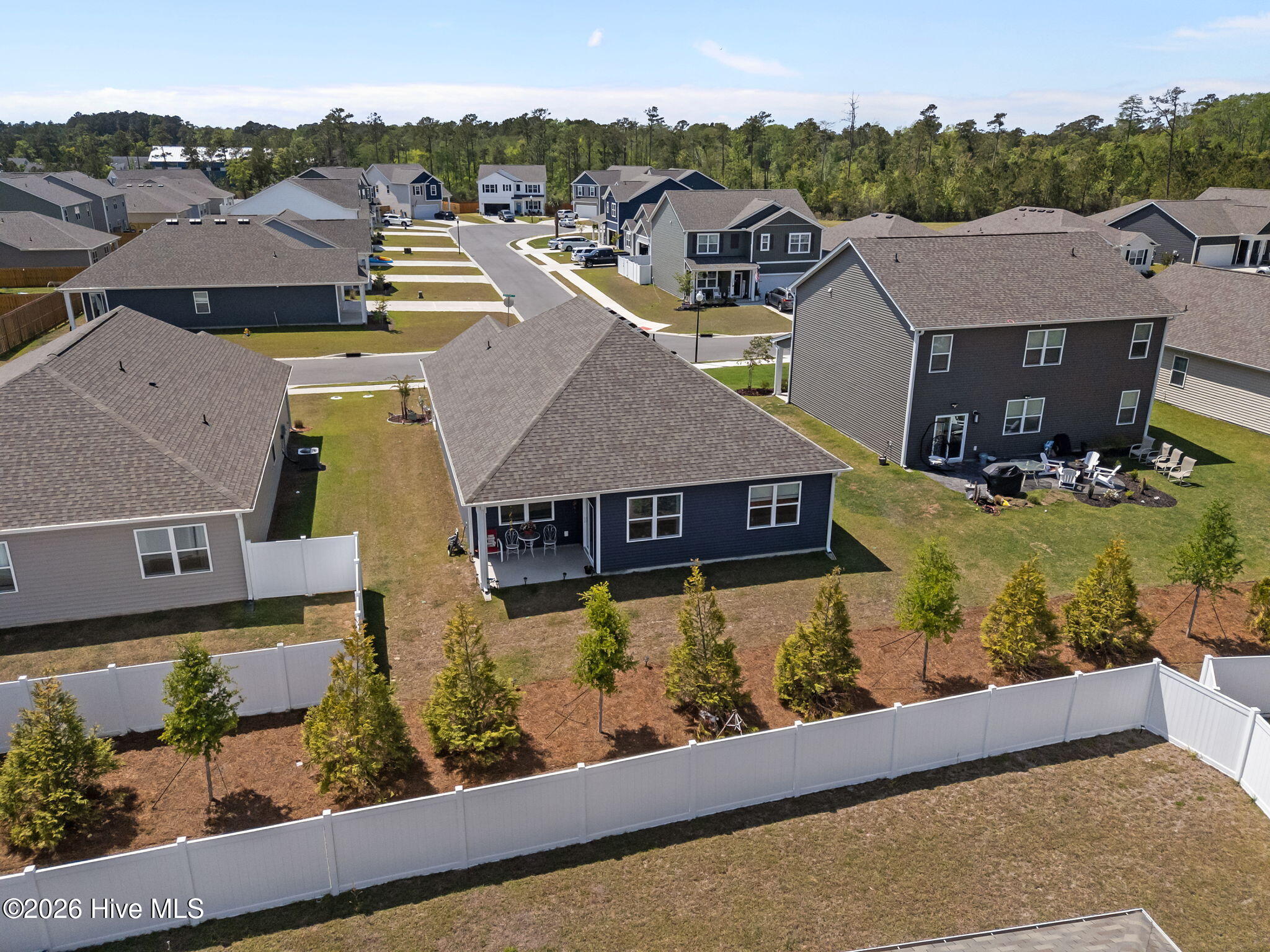 100567889 | Photo 49