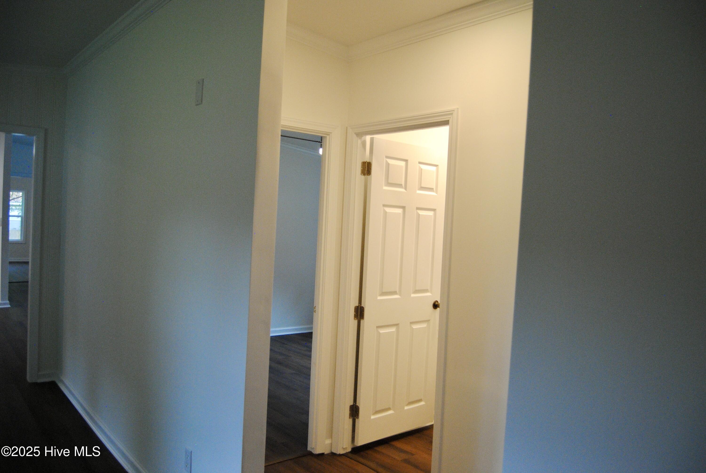 100533223 | Photo 51