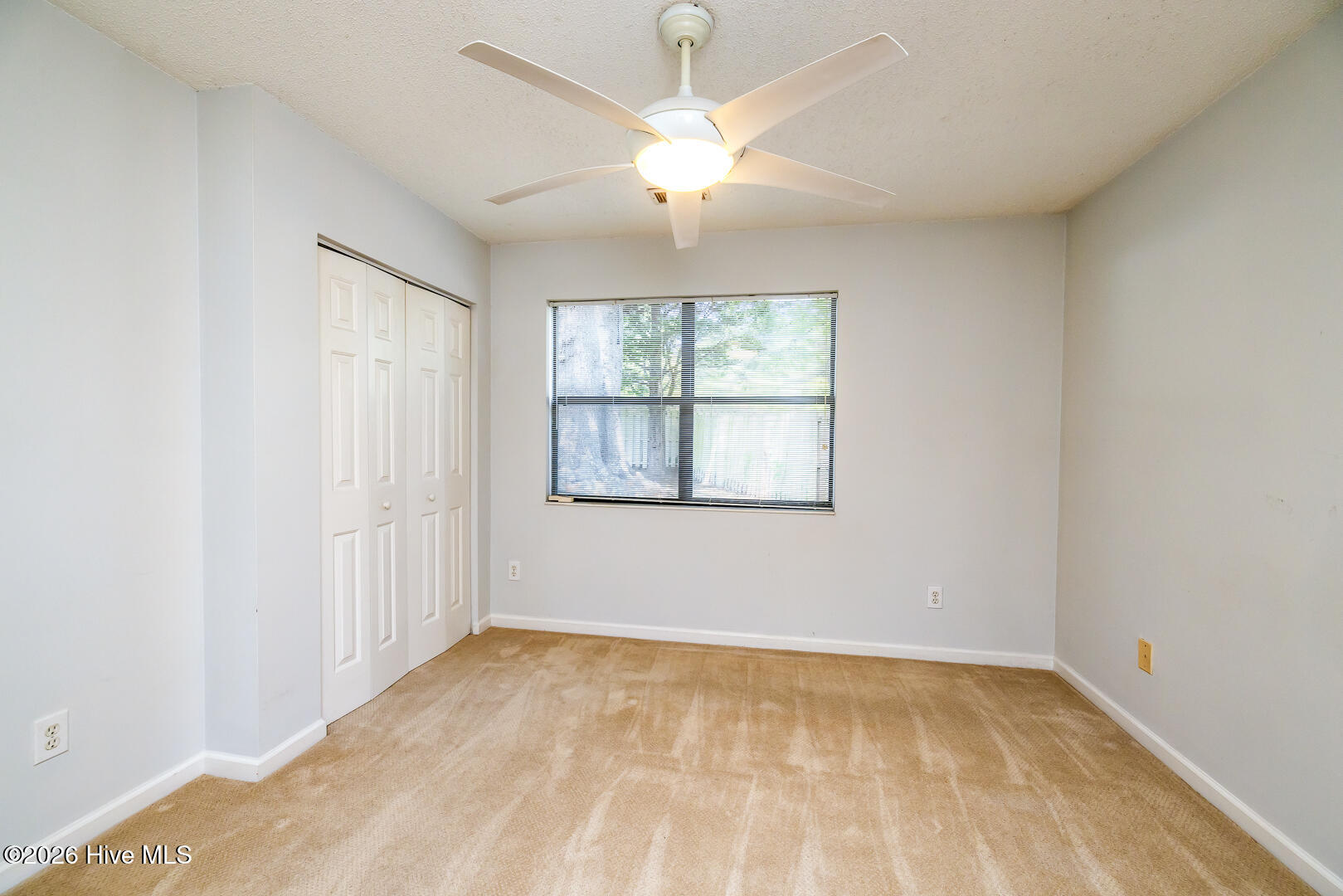 100567936 | Photo 21