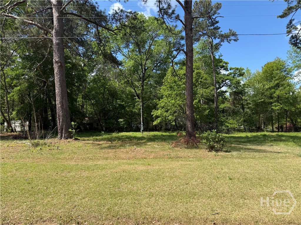 210 Wallace Circle, Bloomingdale, GA, 31302