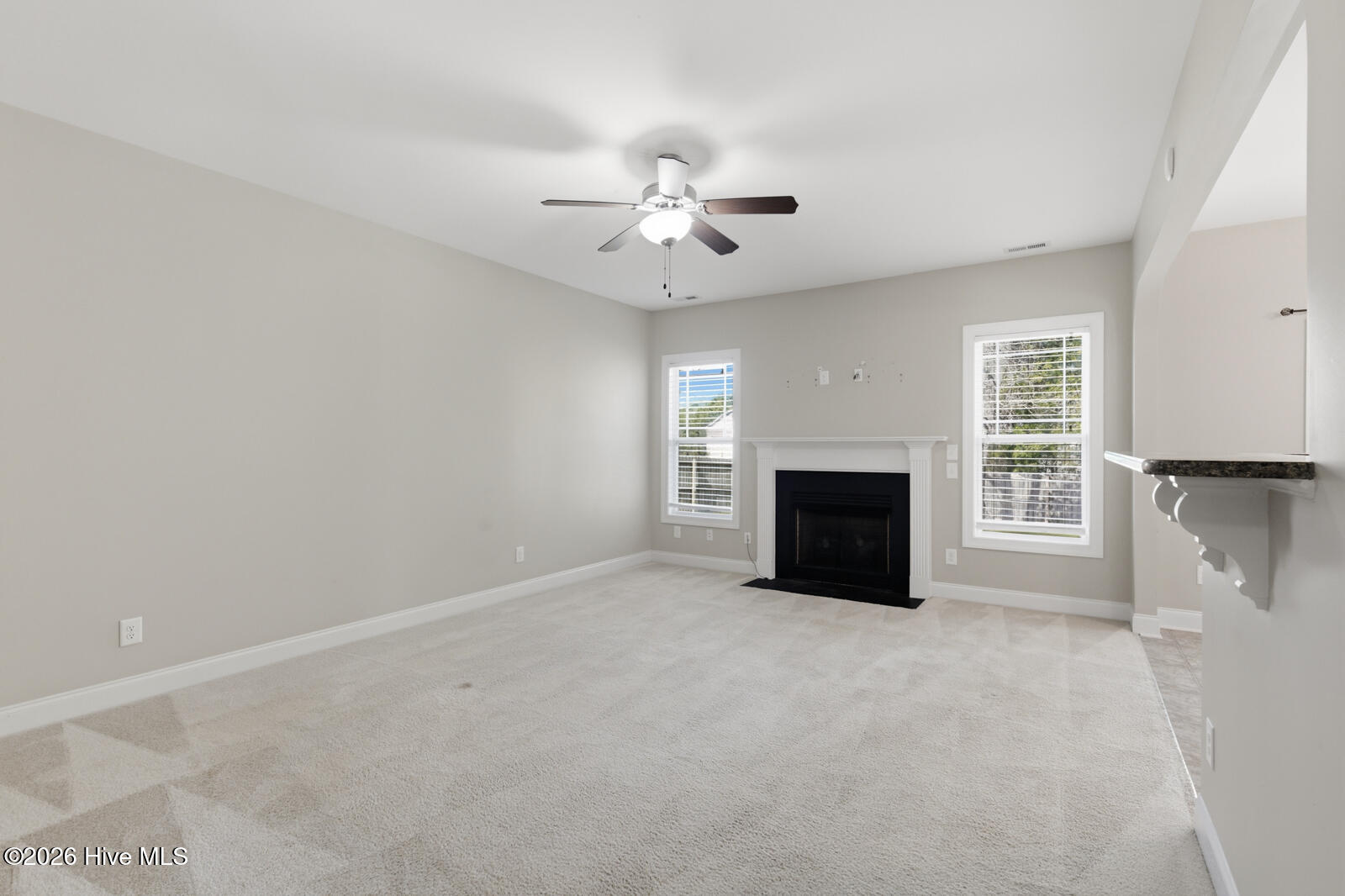 100563645 | Photo 11