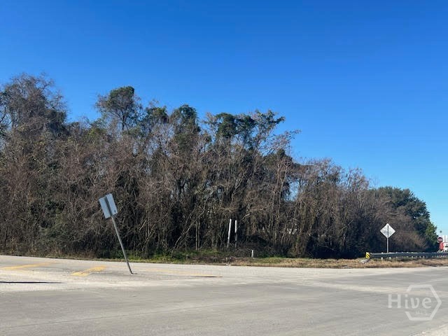 453 Bourne Avenue, Savannah, GA, 31408