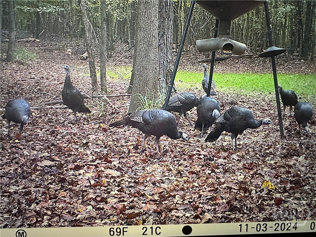 1050 Cedar Grove Drive, Buckhead, GA, 30650