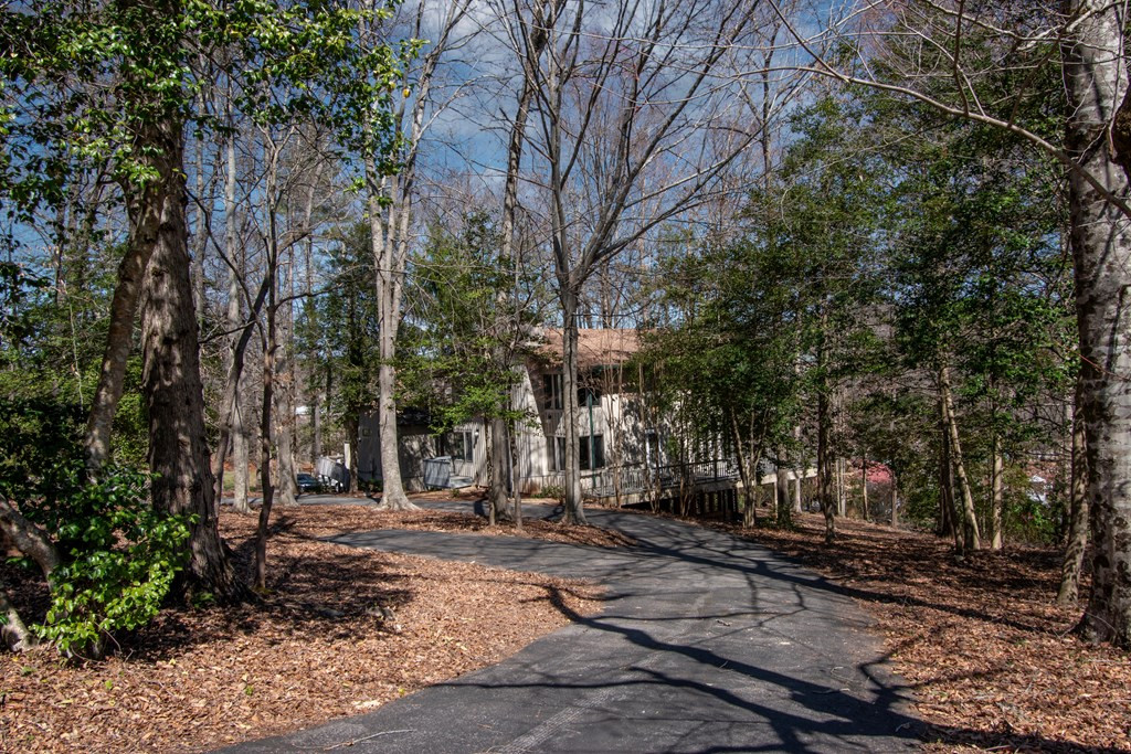 43 Hitchcock Street, Murphy, NC 28906 Listing Photo  53