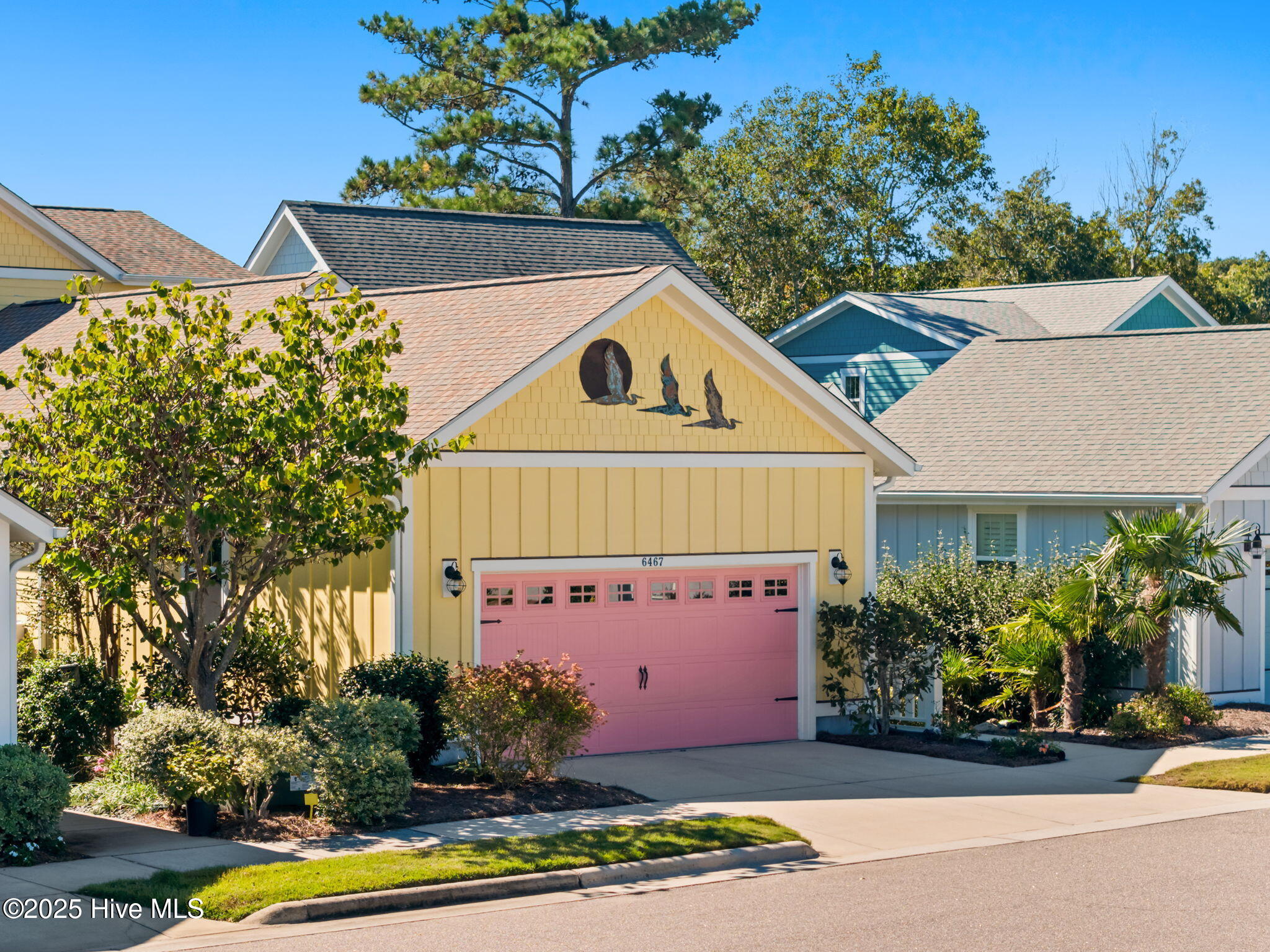 100536977 | Photo 61