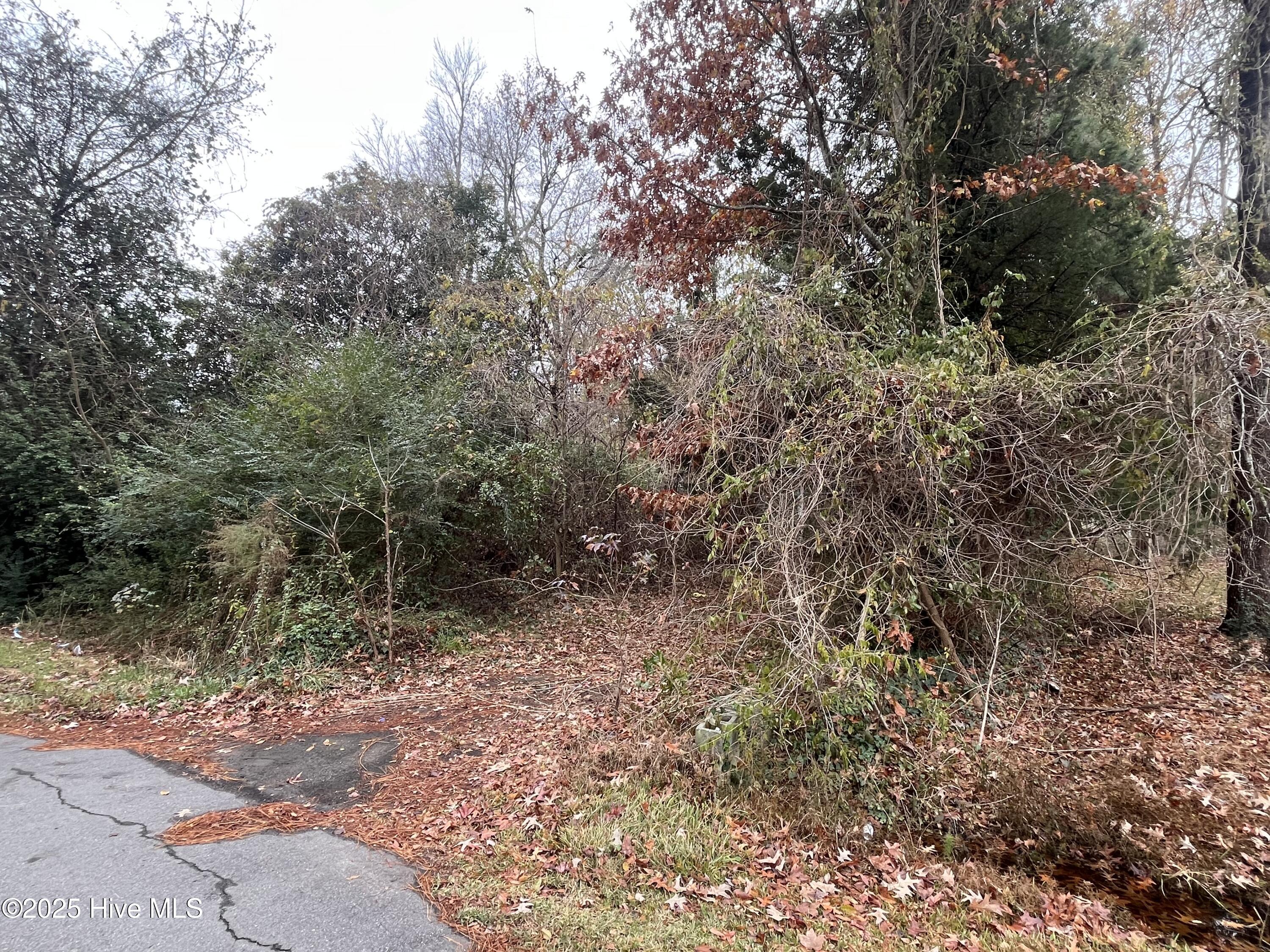 140 Magnolia Drive, Edenton, NC, 27932