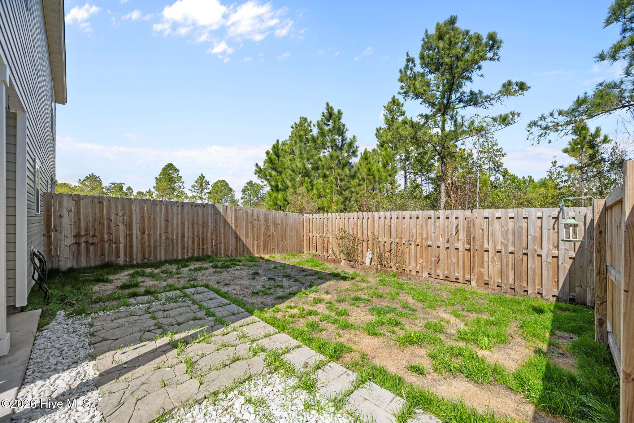 100559207 | Photo 36