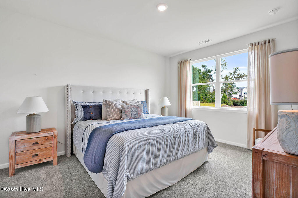 100531581 | Photo 18