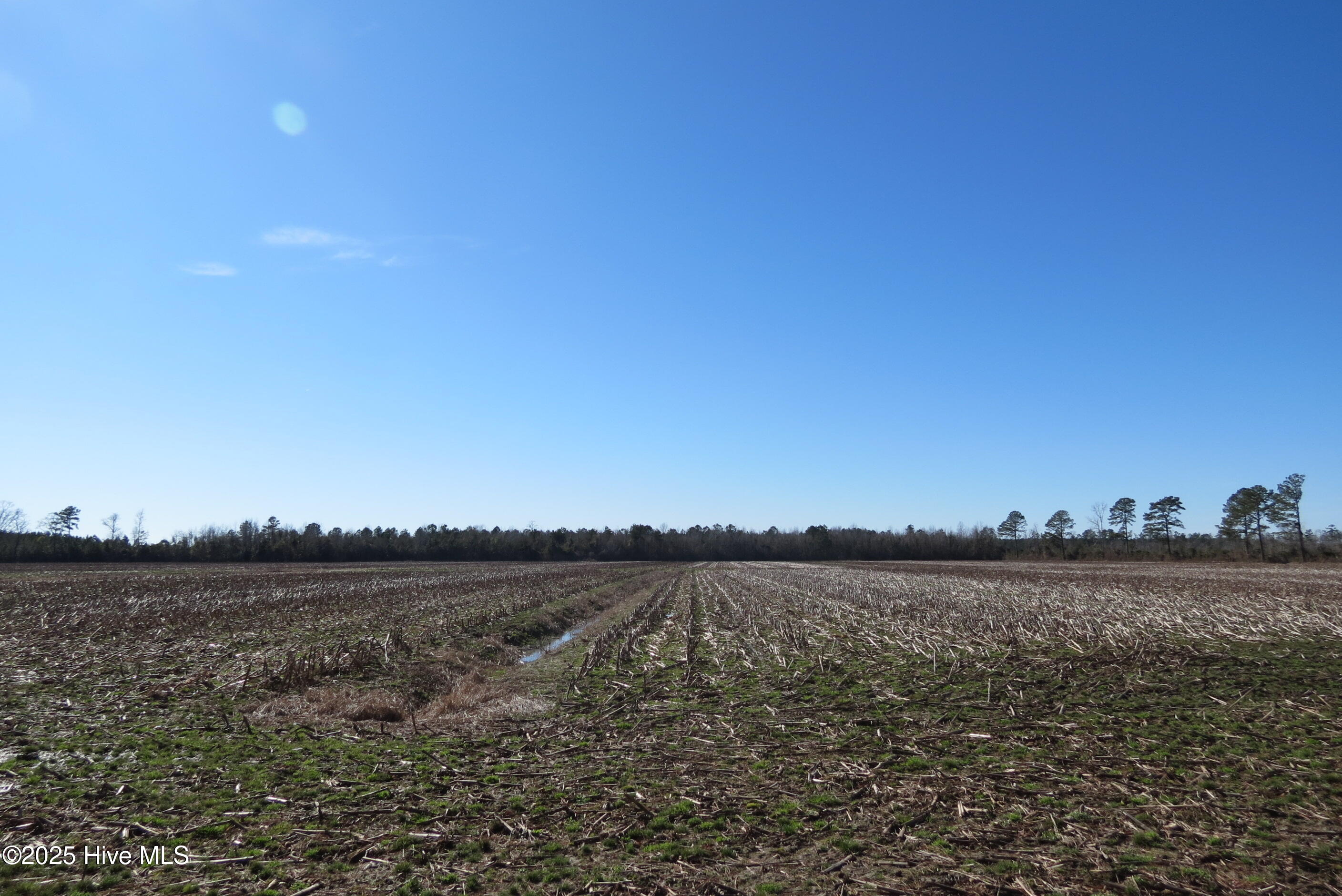 0 Neals Creek Road,Bayboro